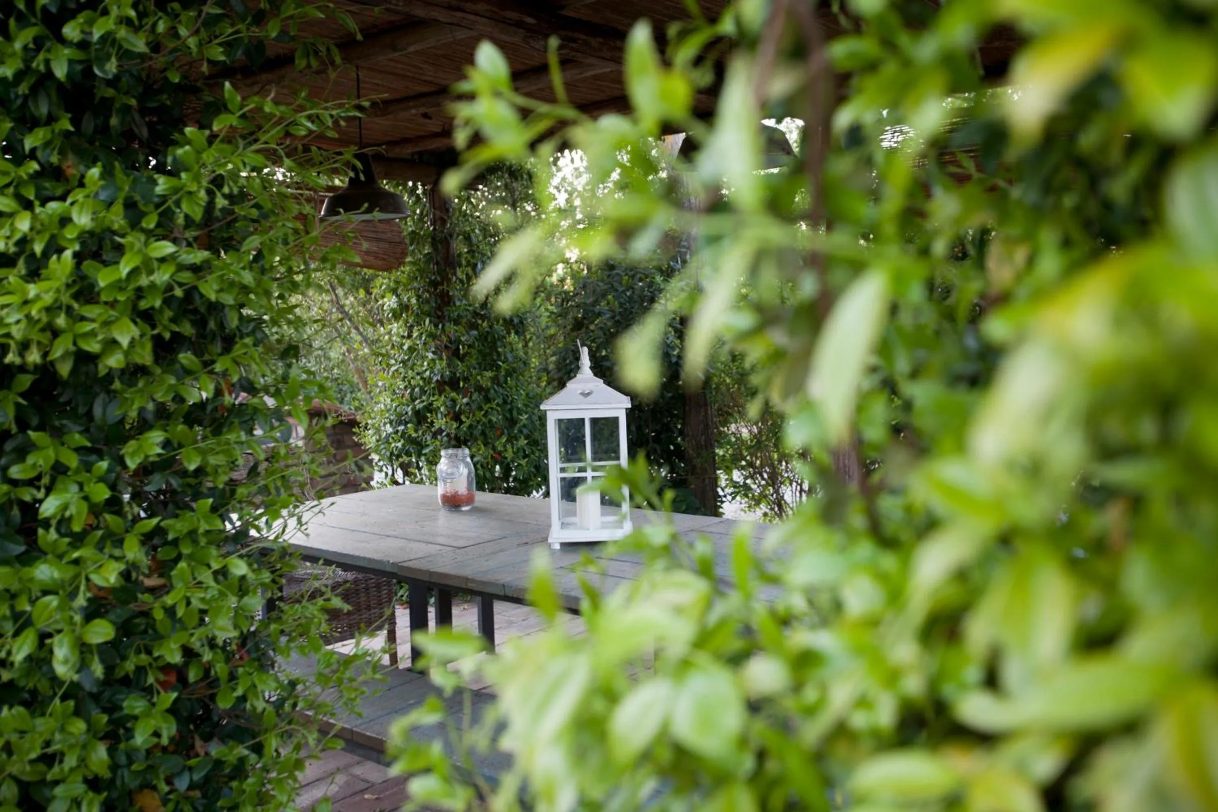Garden in Le Palazze B&b
