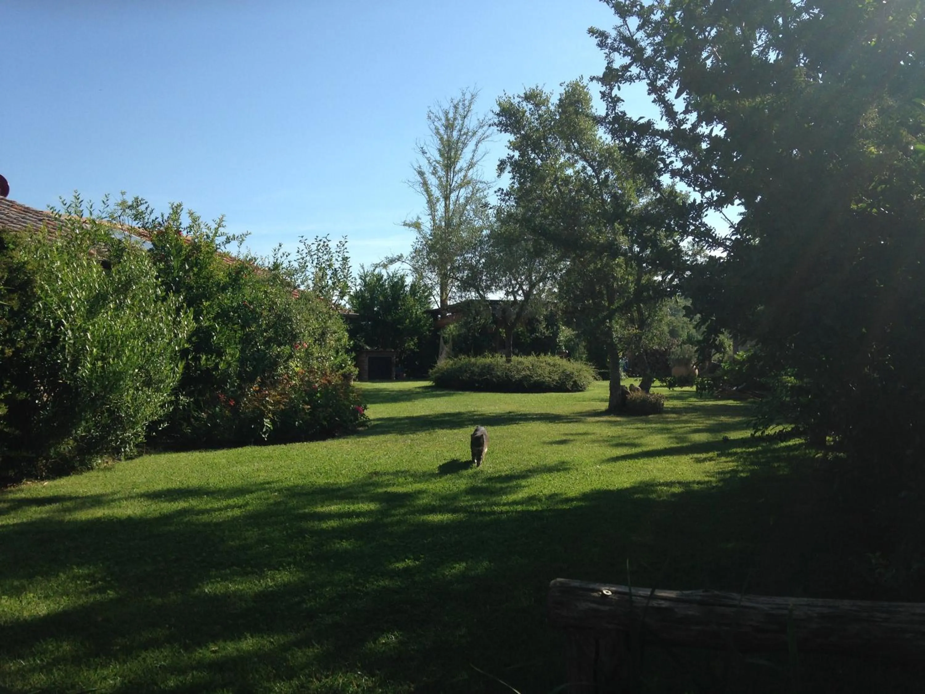Garden in Le Palazze B&b