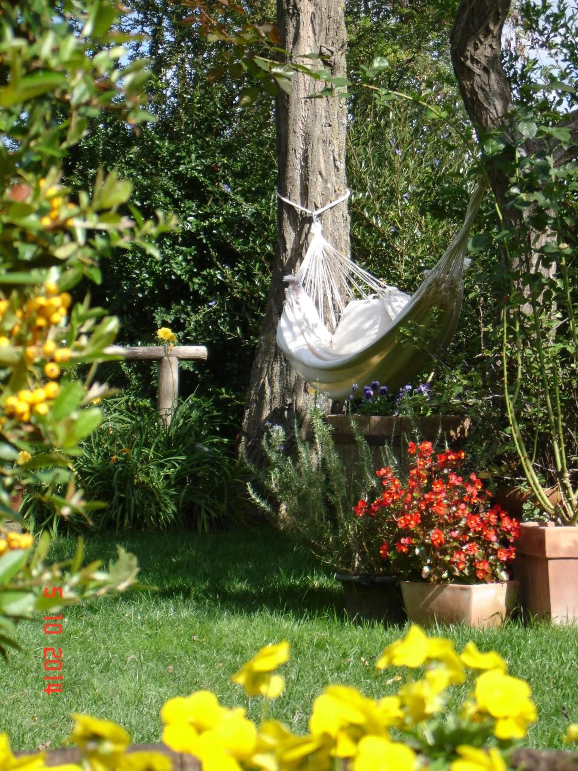 Garden in Le Palazze B&b