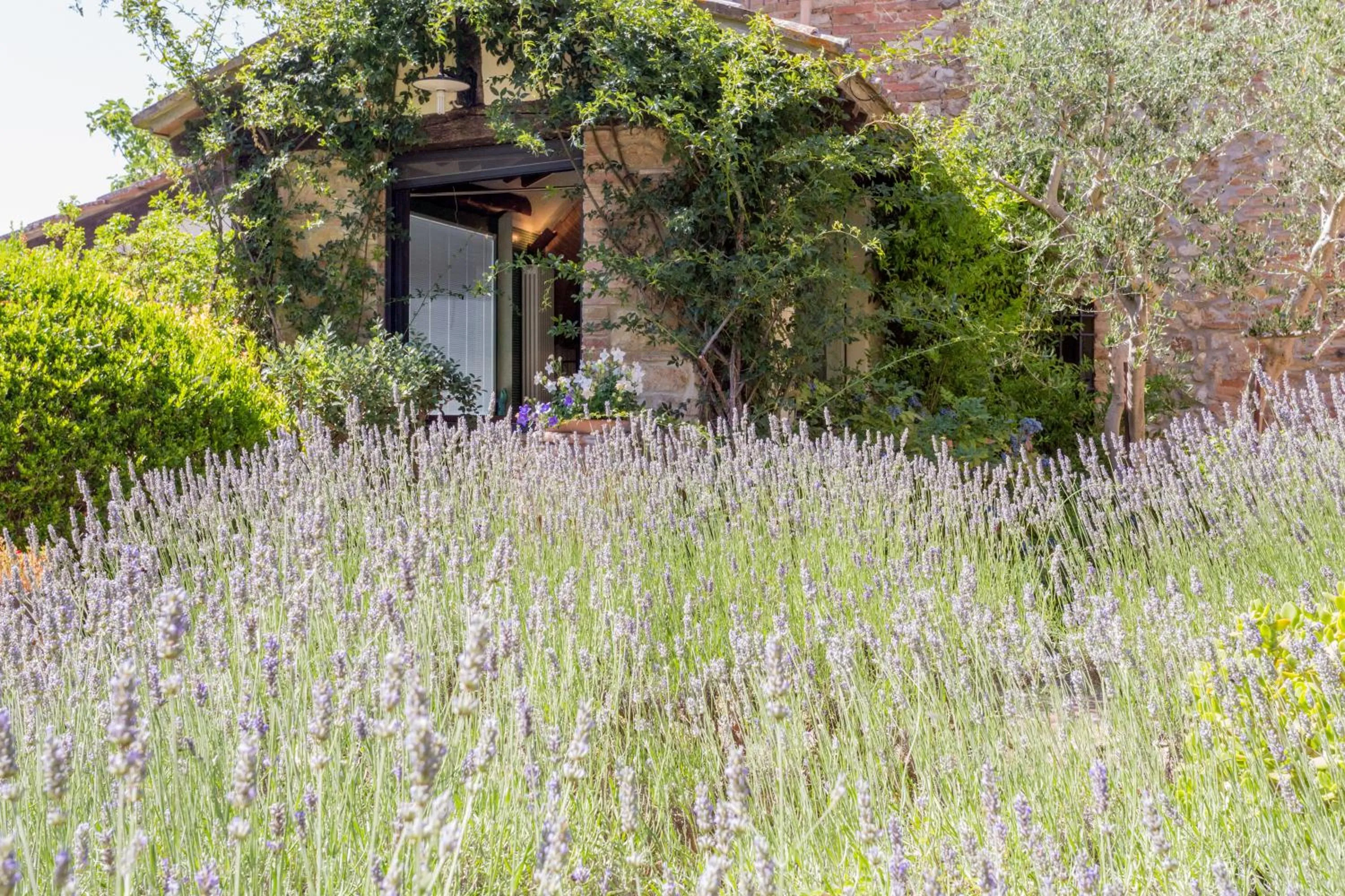 Property building in La Vittoria 10 – La Soglia della Val d’Orcia