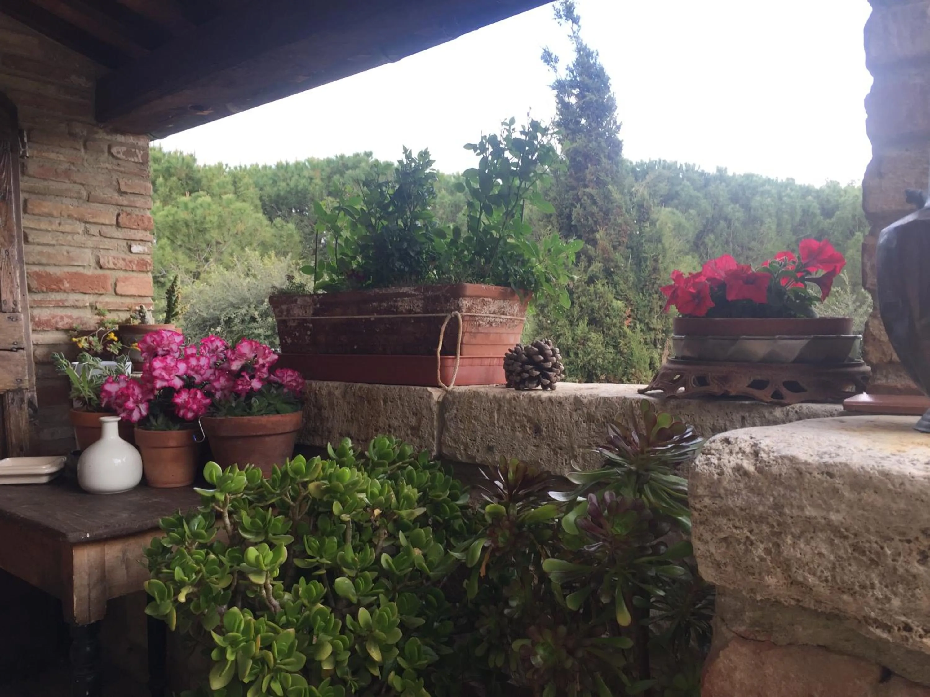 Patio in La Vittoria 10 – La Soglia della Val d’Orcia