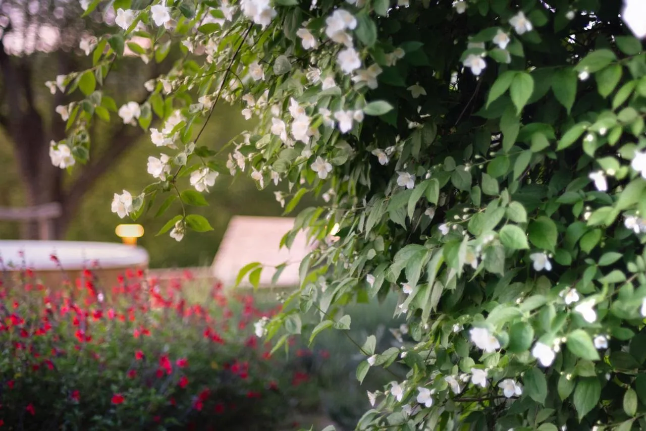 La Vittoria 10 – La Soglia della Val d’Orcia