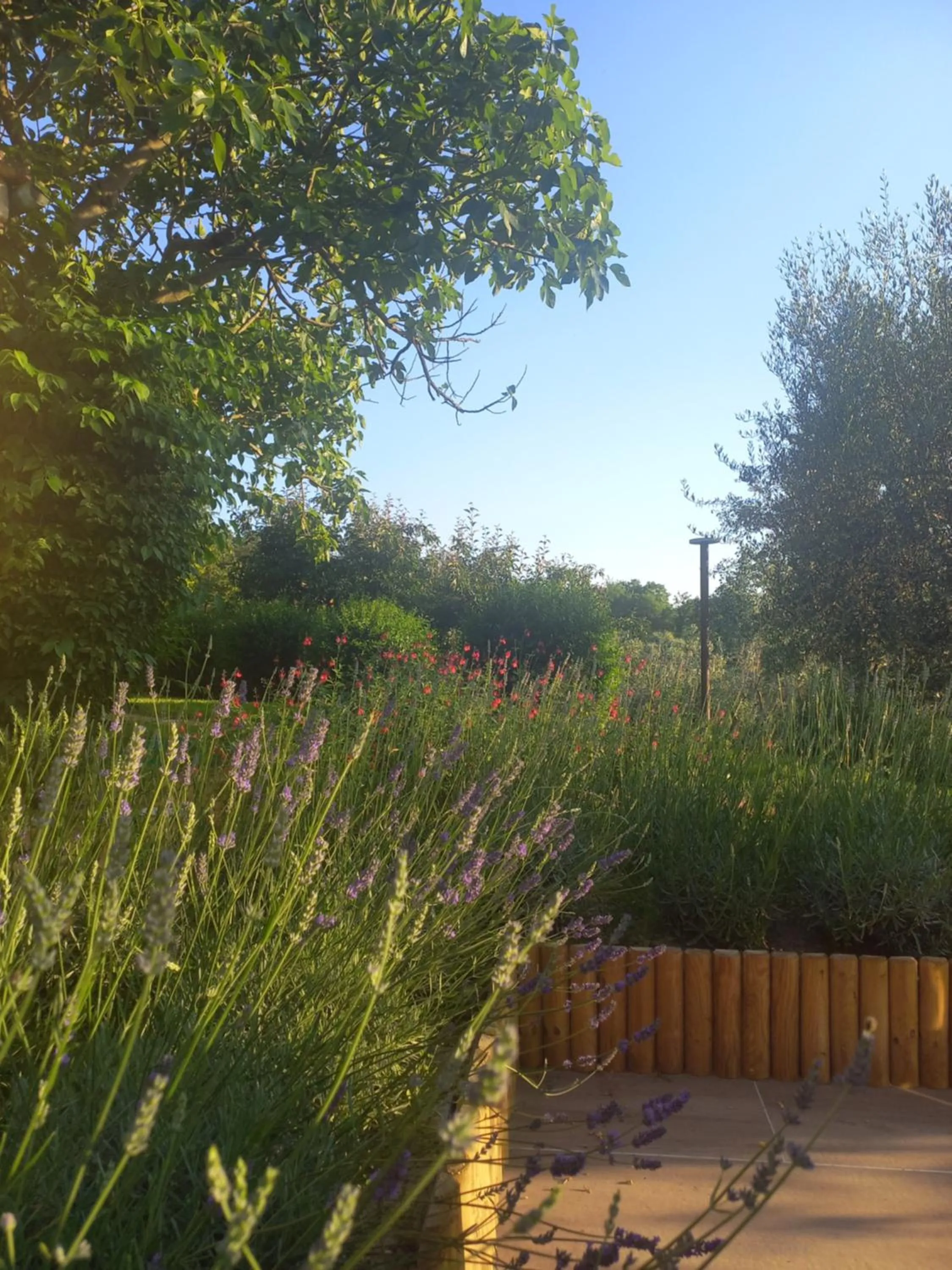 La Vittoria 10 – La Soglia della Val d’Orcia