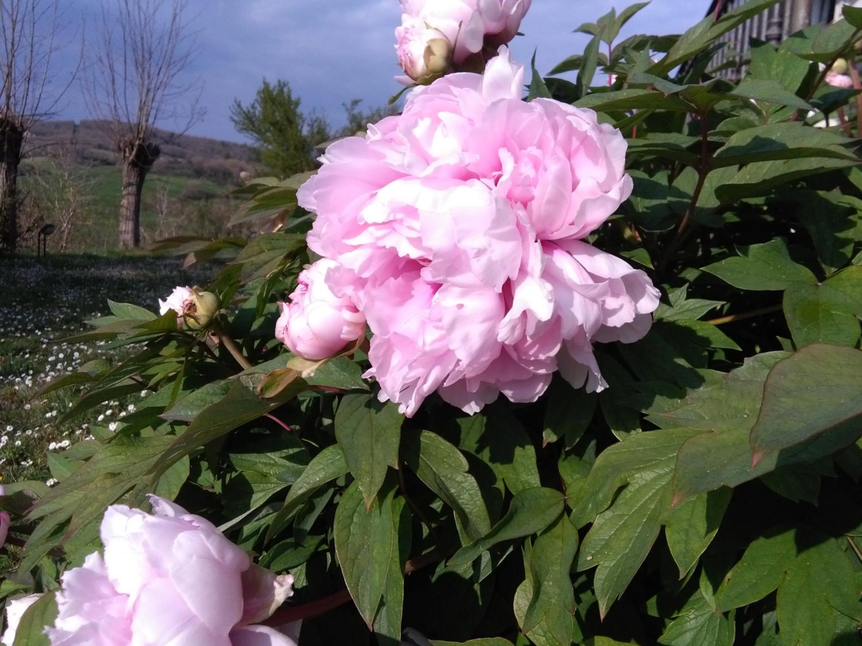 La Vittoria 10 – La Soglia della Val d’Orcia