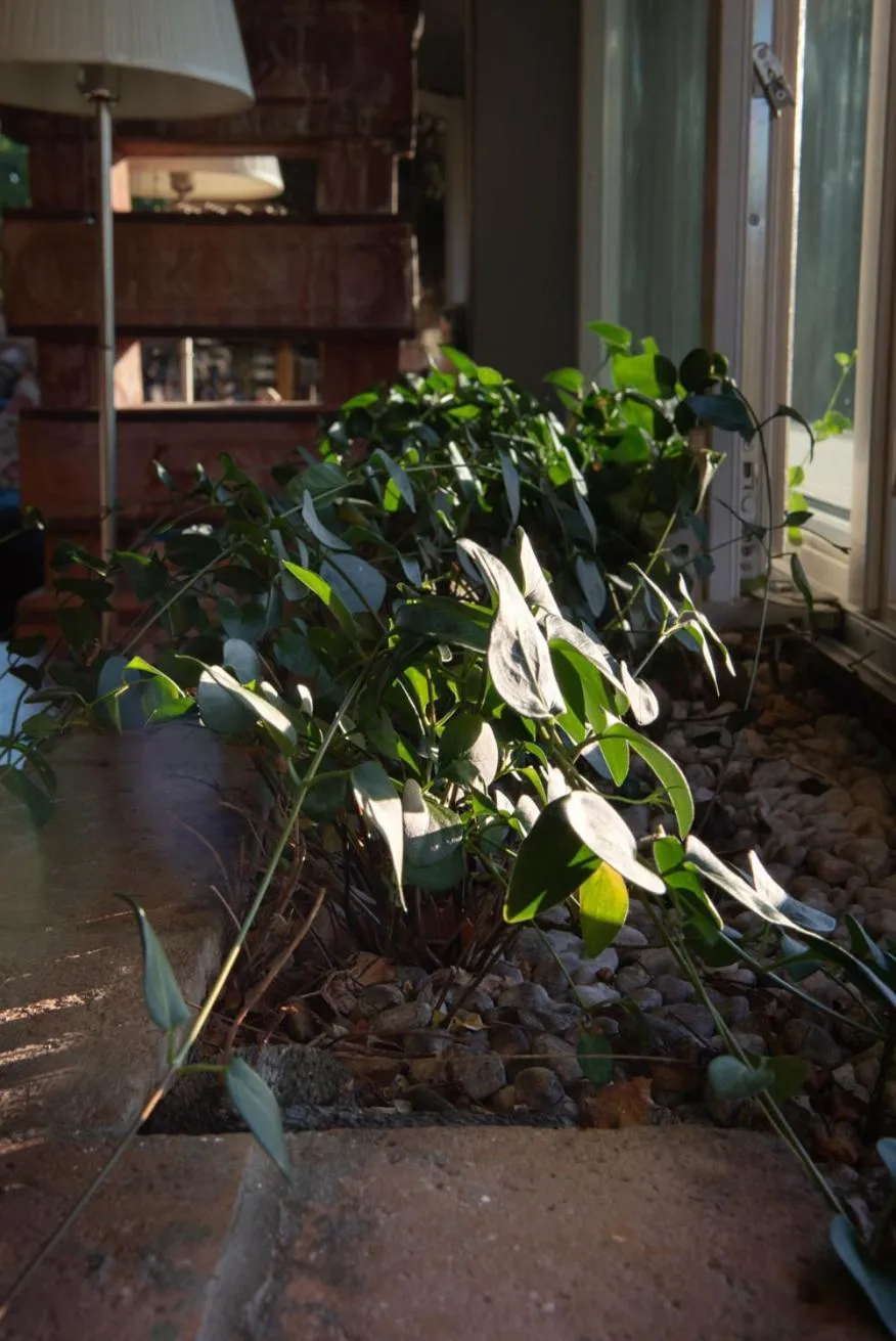 La Vittoria 10 – La Soglia della Val d’Orcia