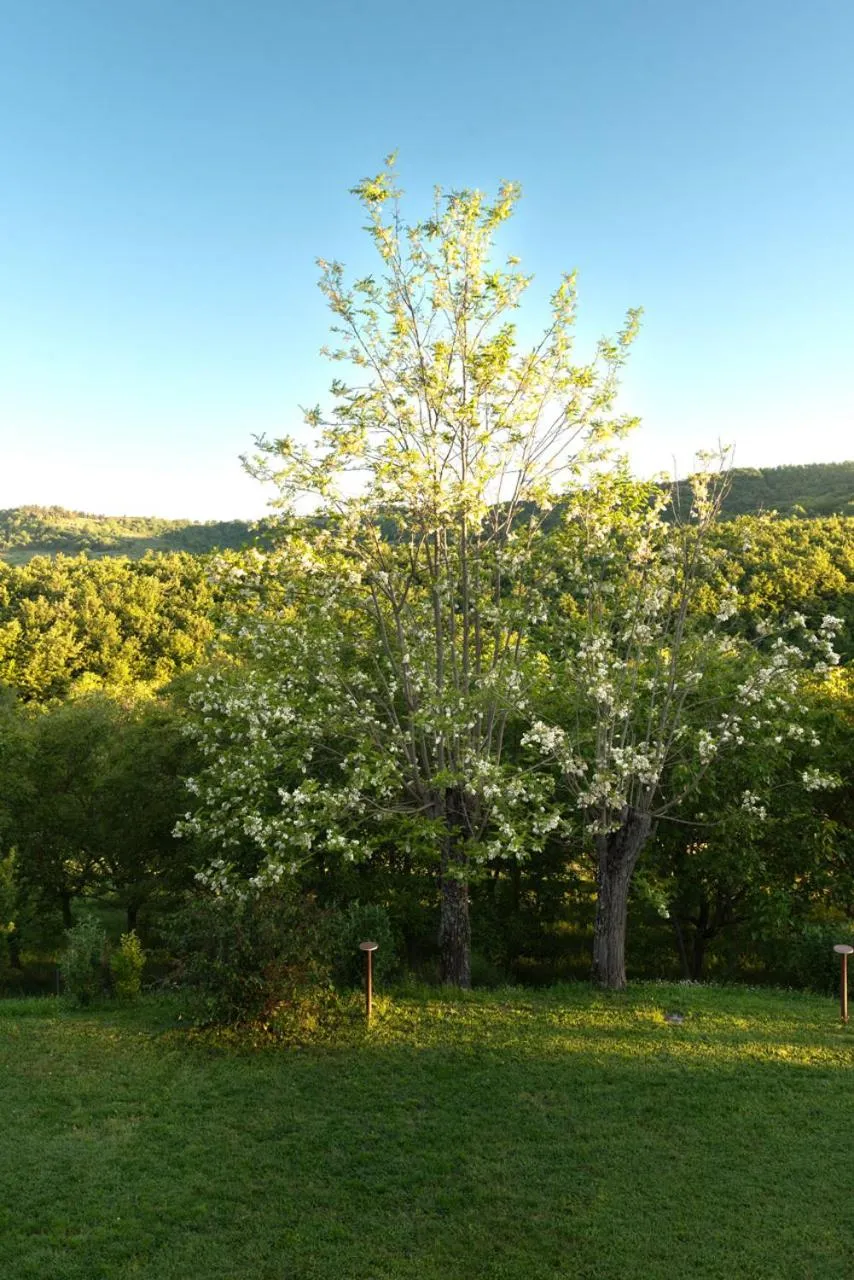 La Vittoria 10 – La Soglia della Val d’Orcia