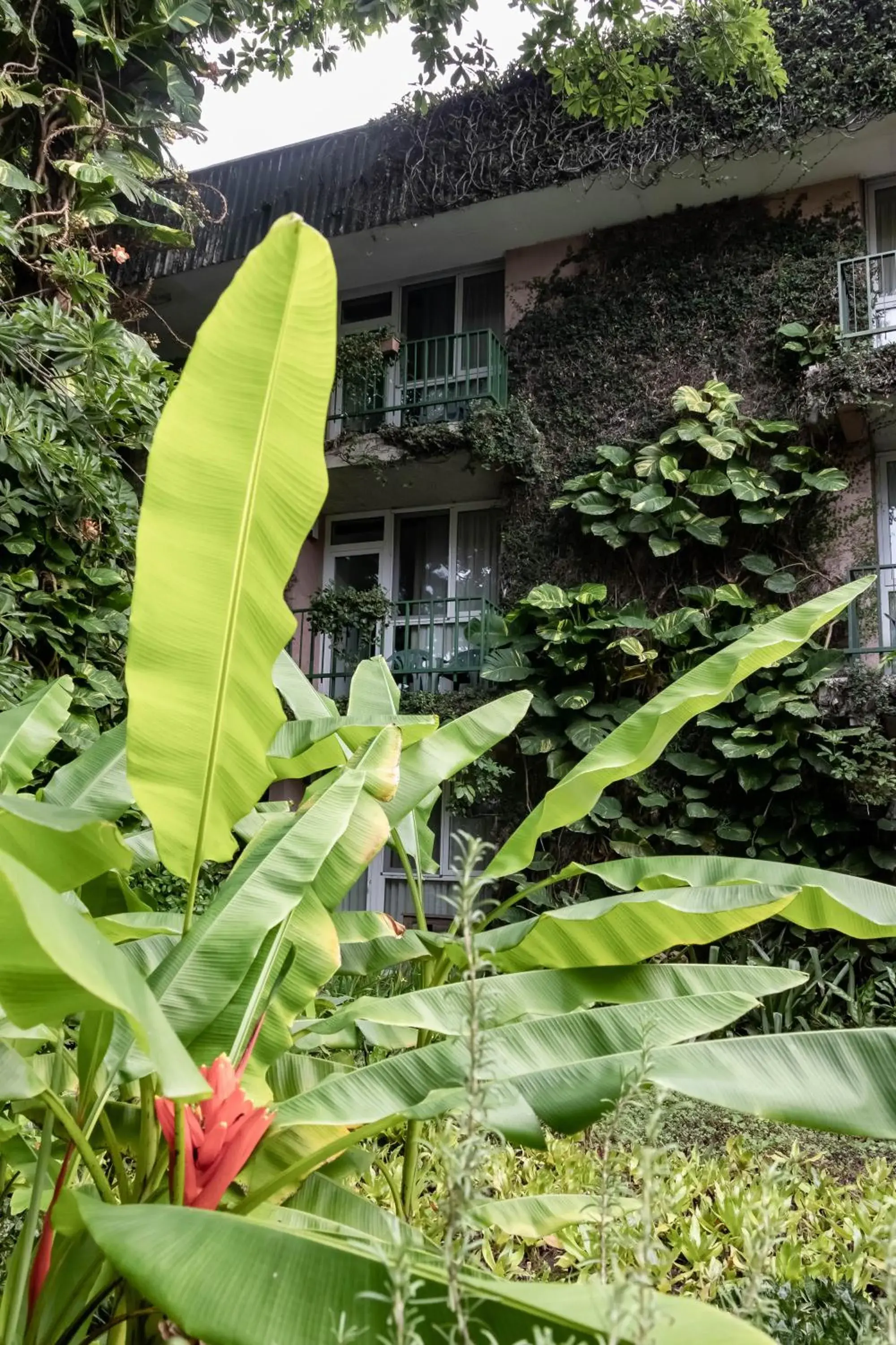 Novo Hotel & Suite Novo Hotel & Suite