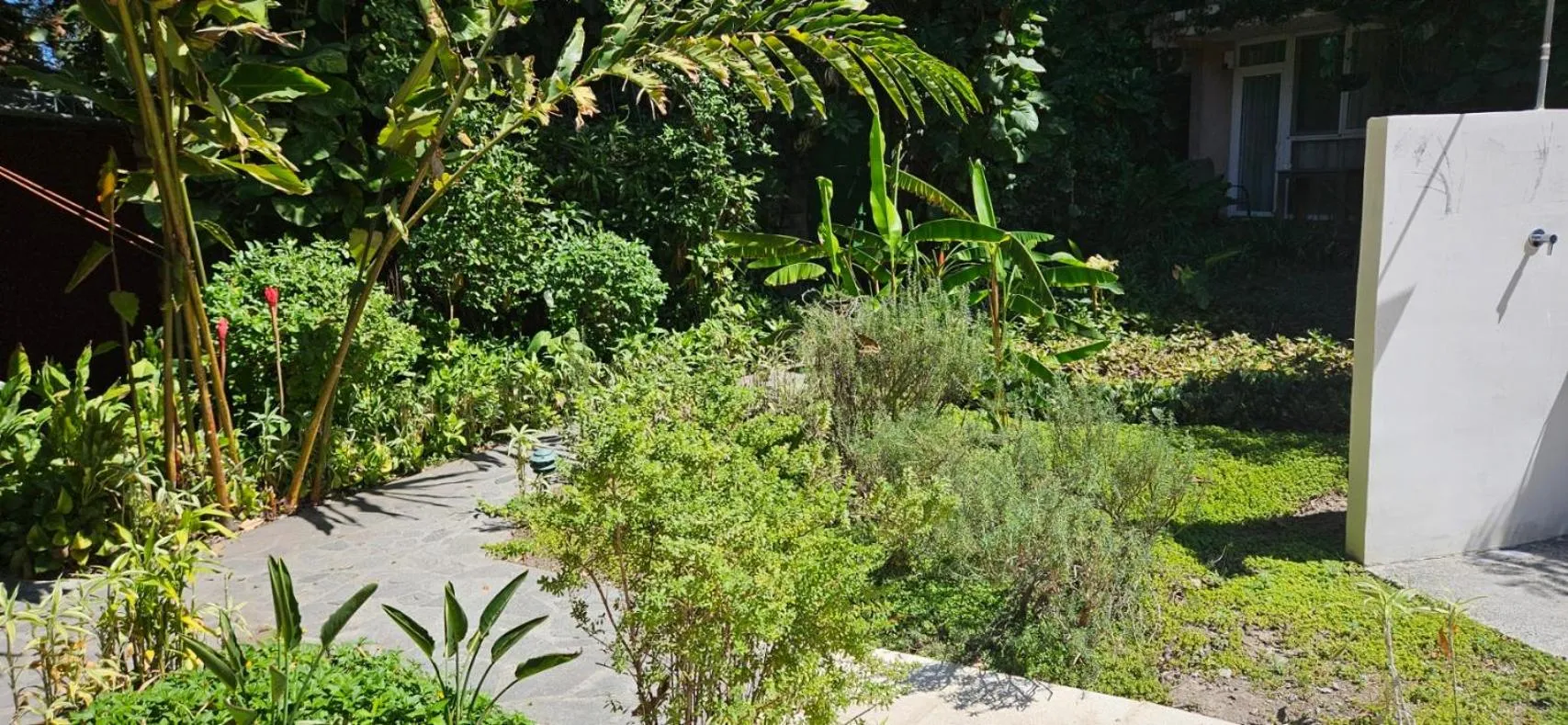 Garden in Novo Hotel & Suite