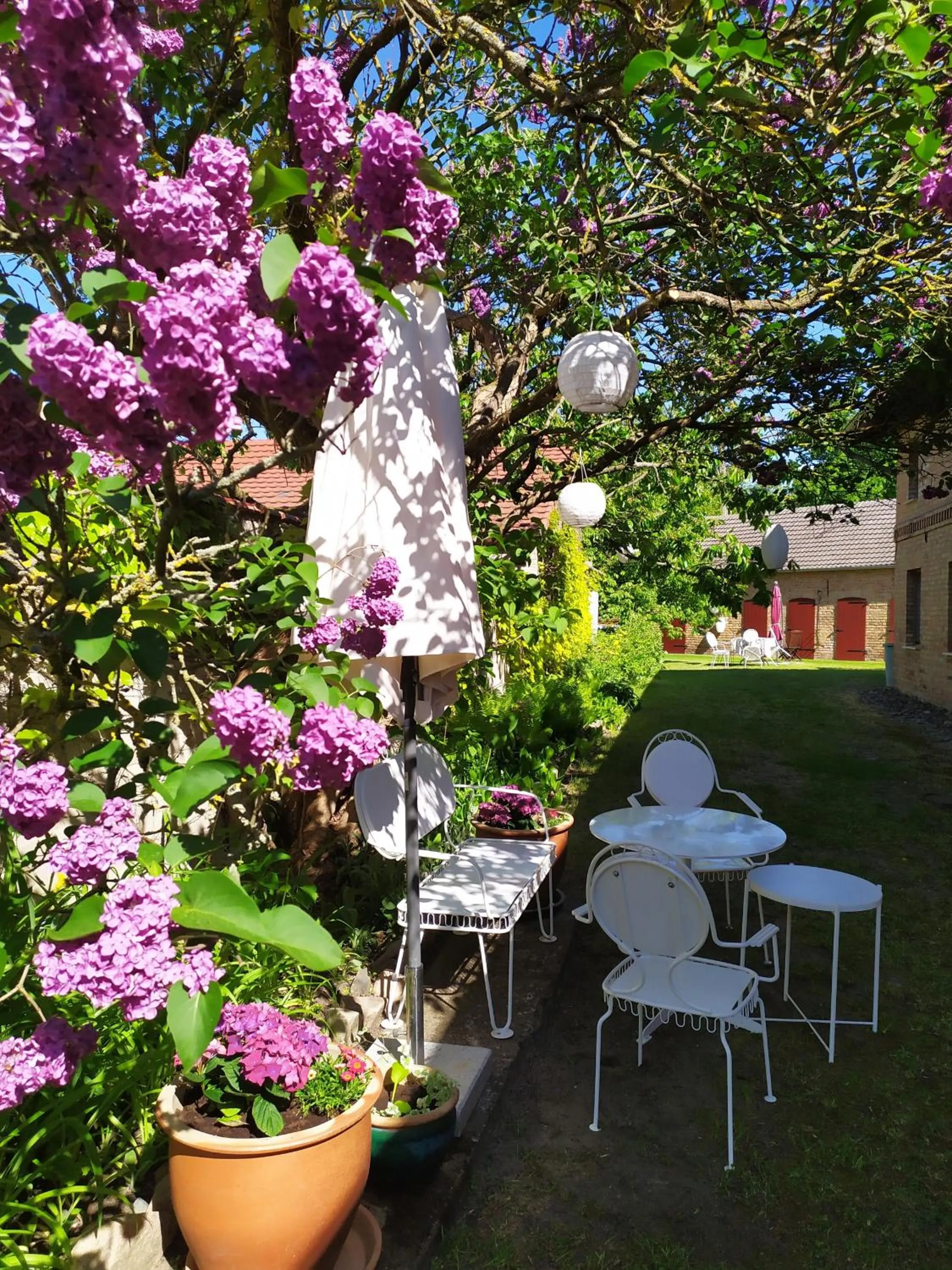 Patio in SchlossparkFerienwohnungen Rheinsberg mit Garten