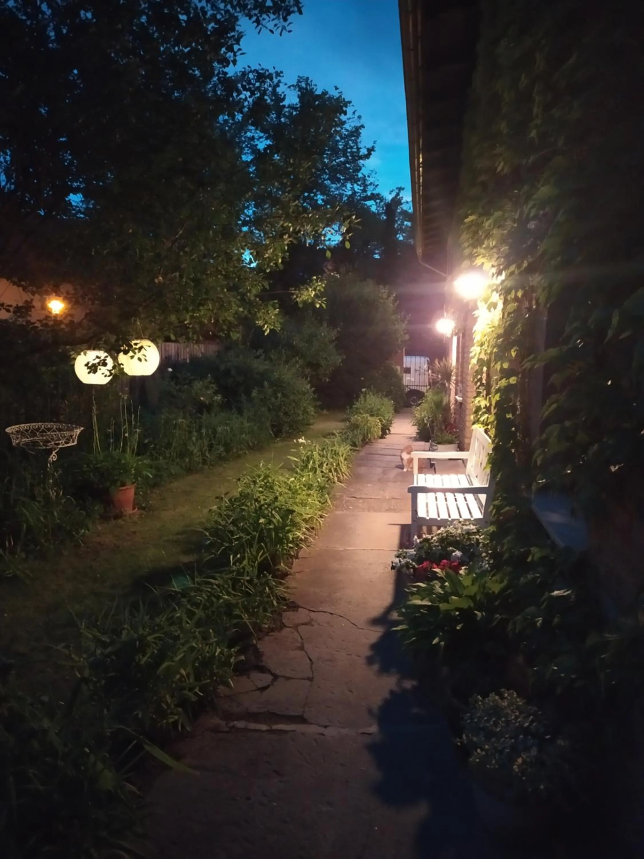 Patio in SchlossparkFerienwohnungen Rheinsberg mit Garten