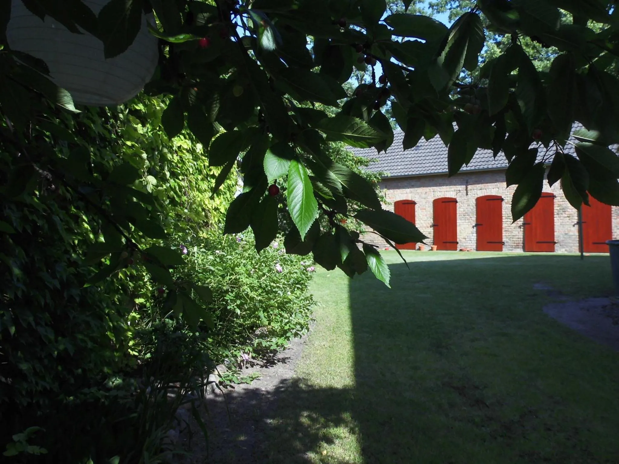 Garden in SchlossparkFerienwohnungen Rheinsberg mit Garten
