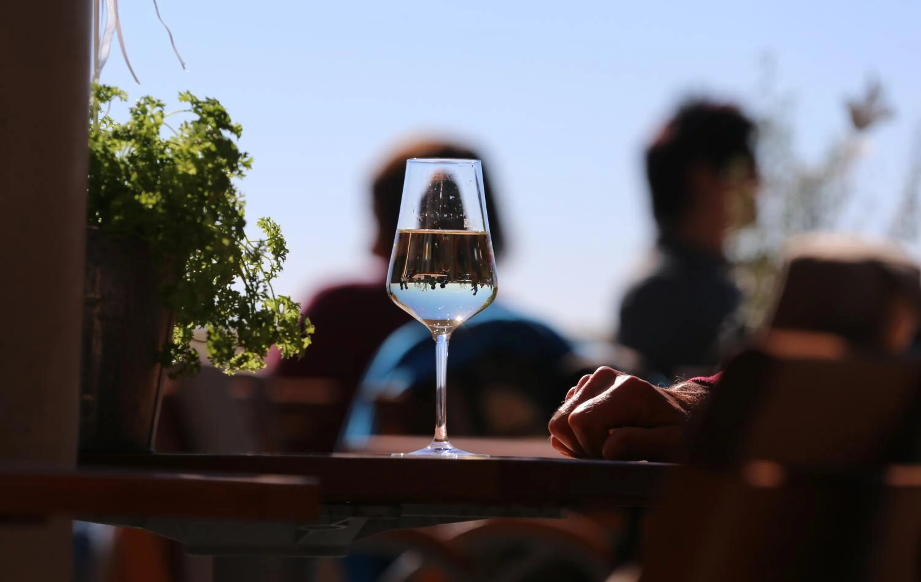 Restaurant/places to eat in Vogelsburg