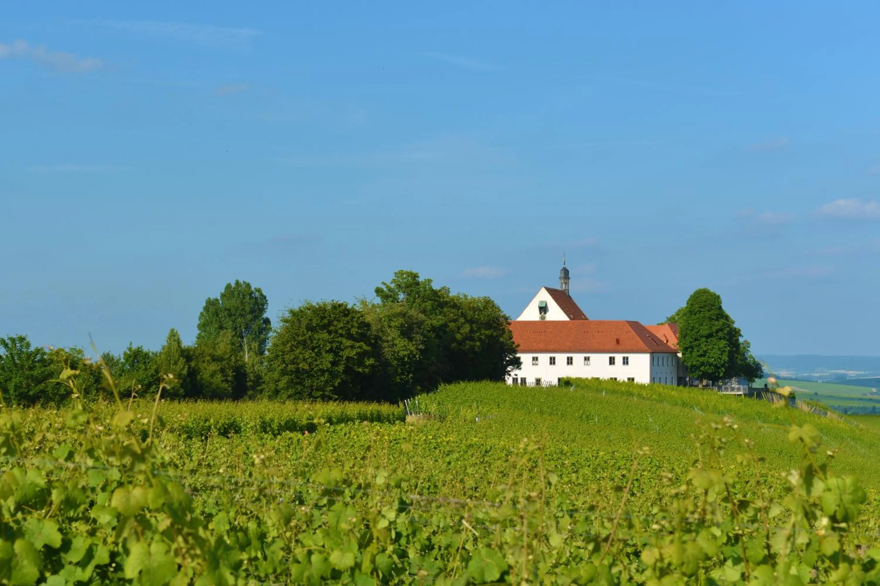 Facade/entrance in Vogelsburg