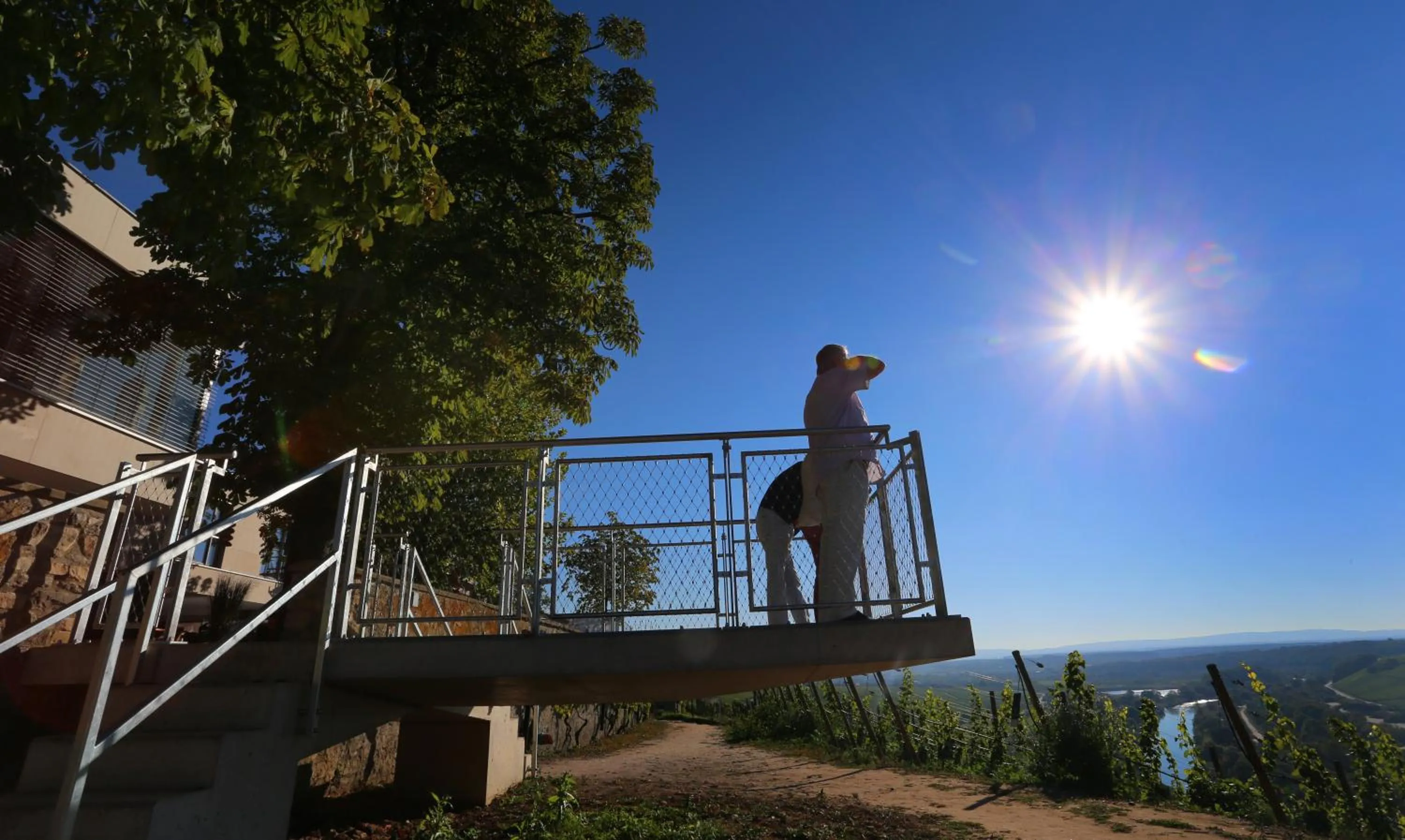 Restaurant/places to eat in Vogelsburg