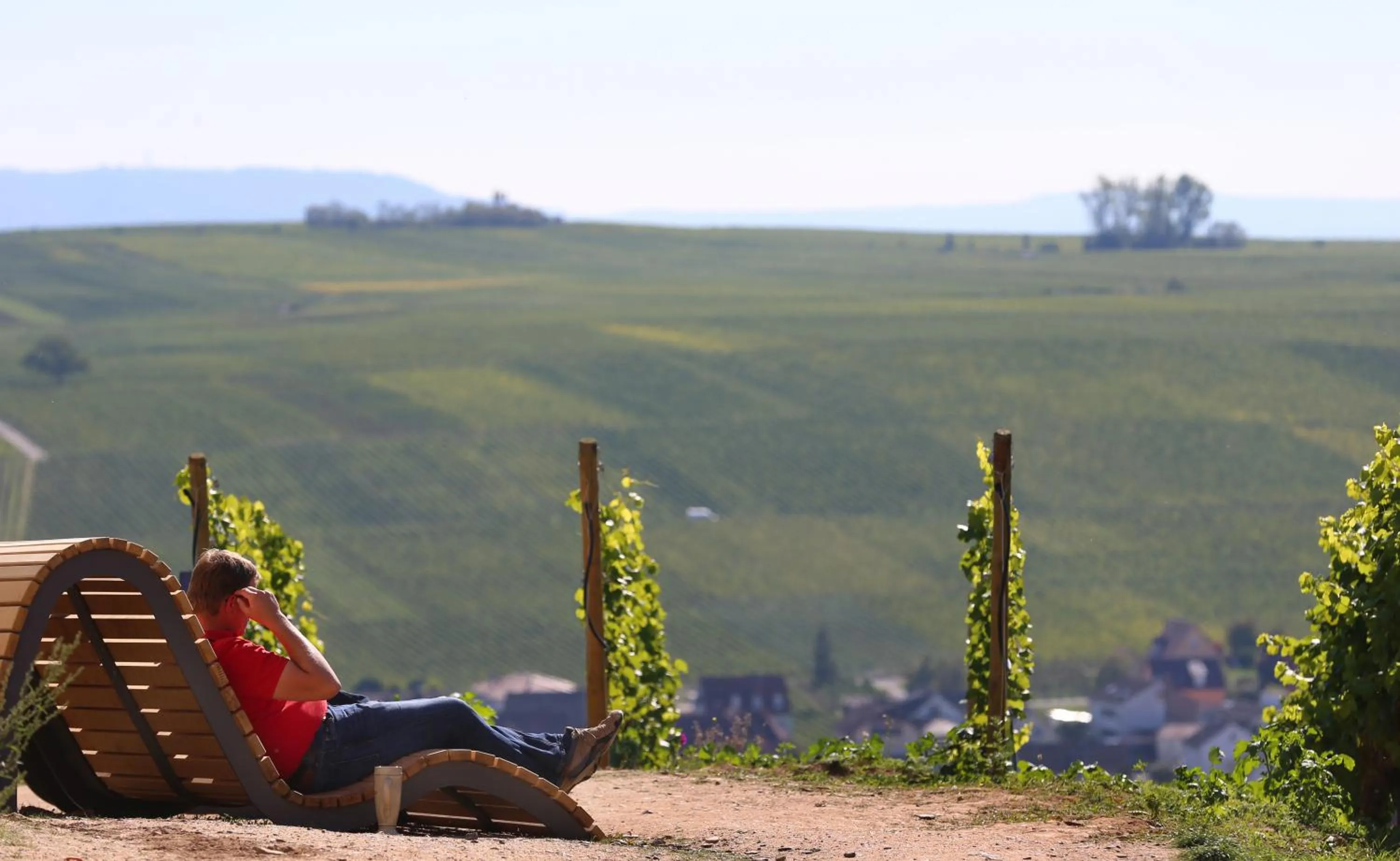 River view in Vogelsburg