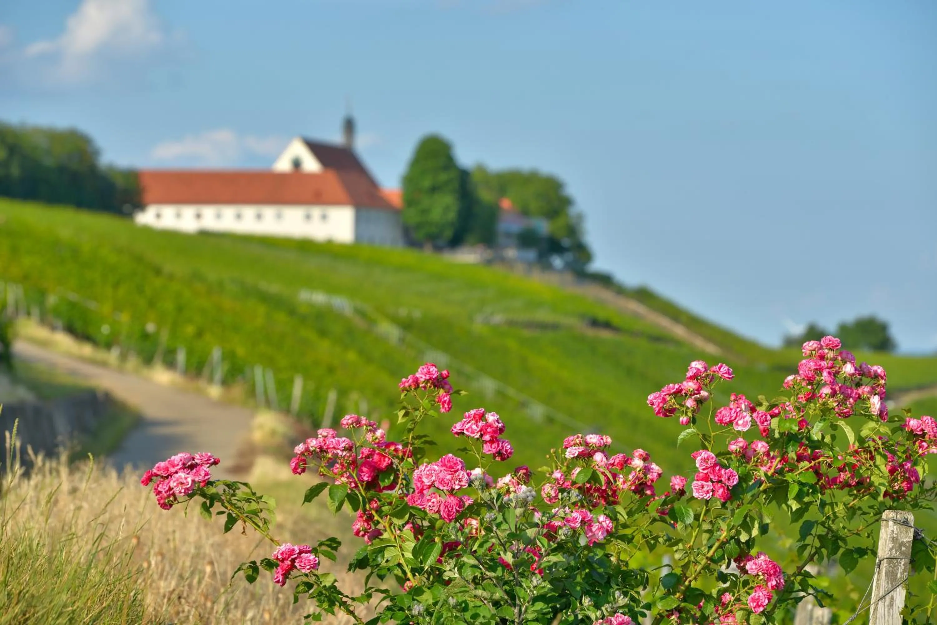 Facade/entrance in Vogelsburg