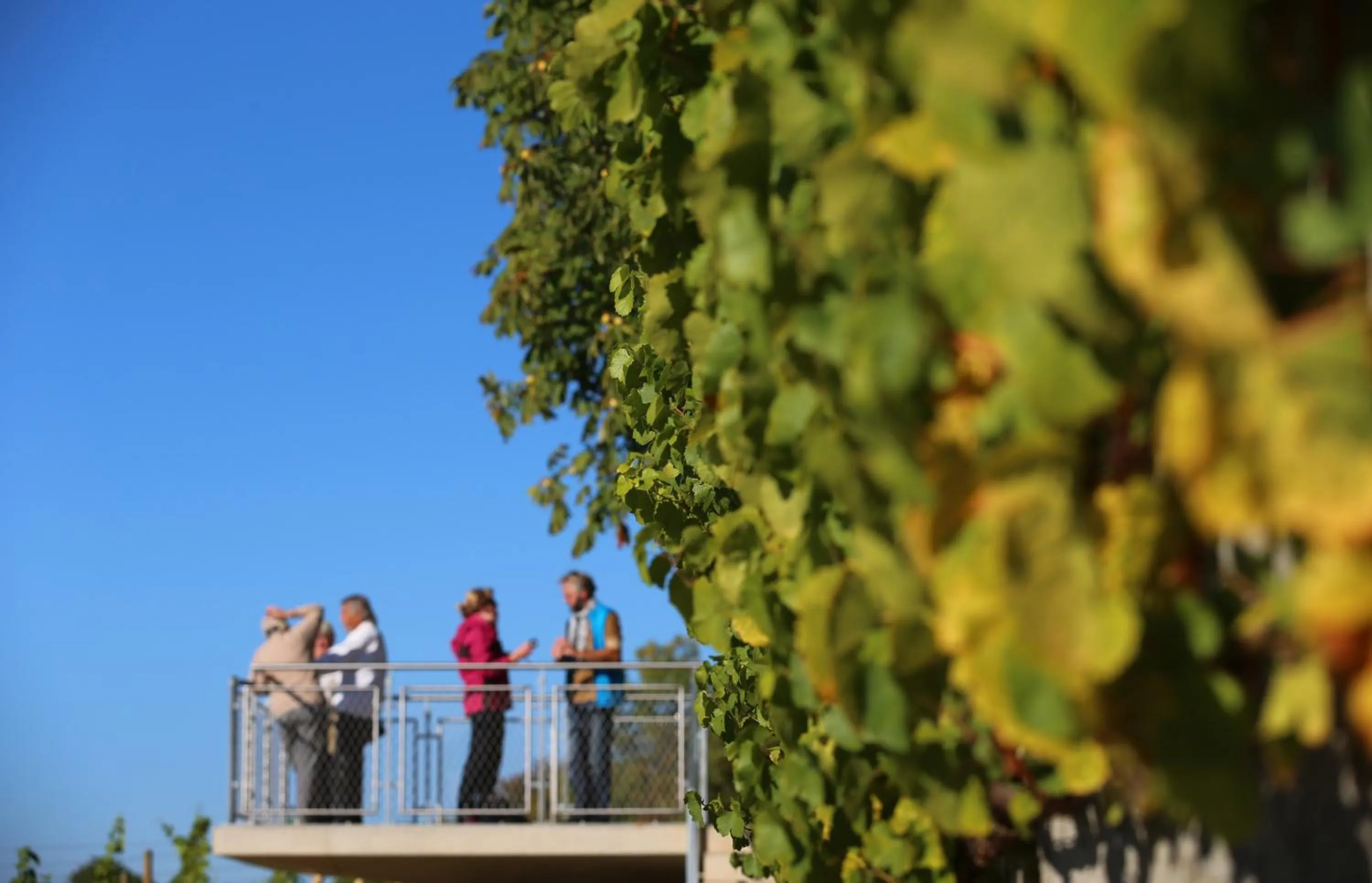 On site in Vogelsburg