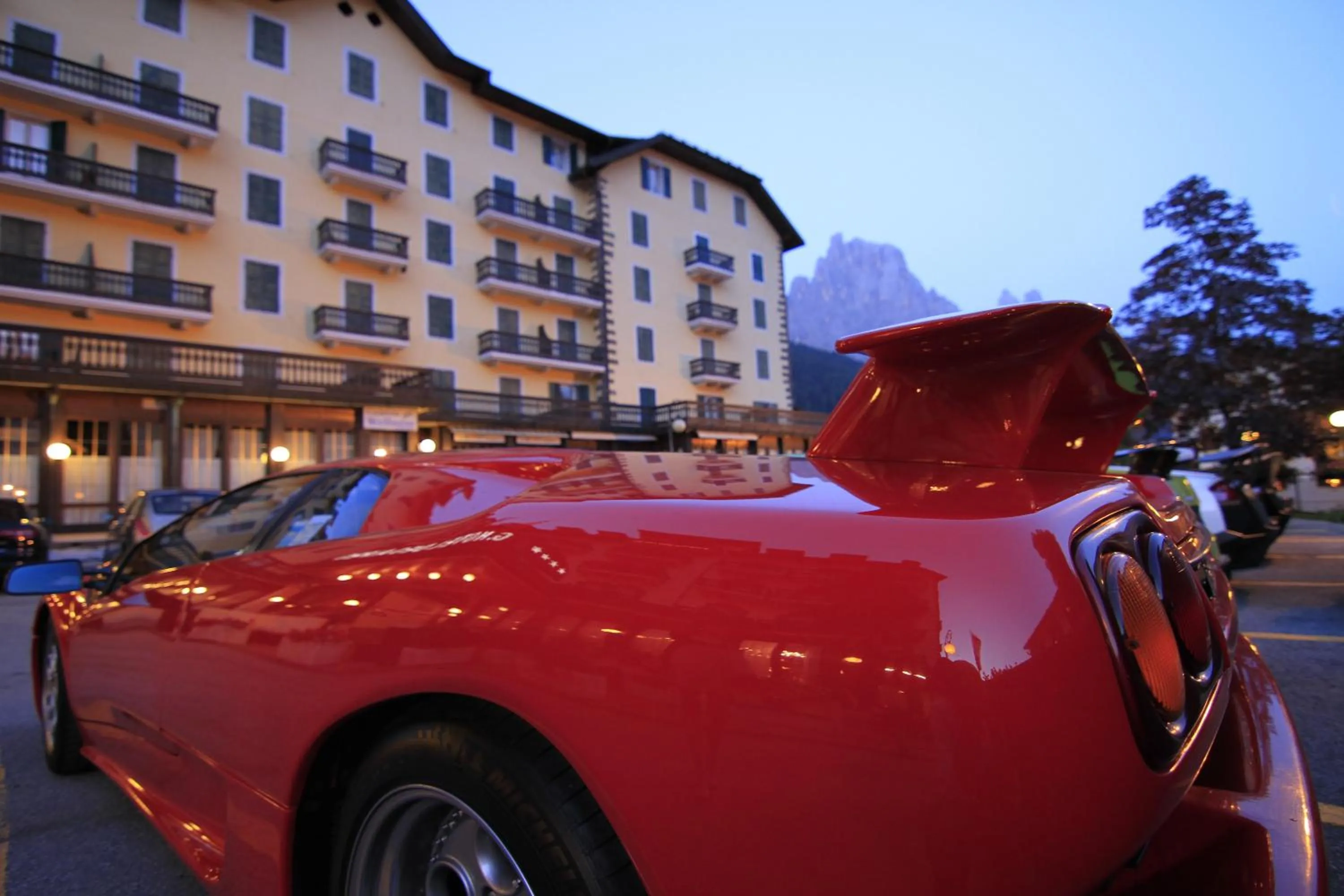 Area and facilities in G. Hotel Des Alpes (Classic since 1912)