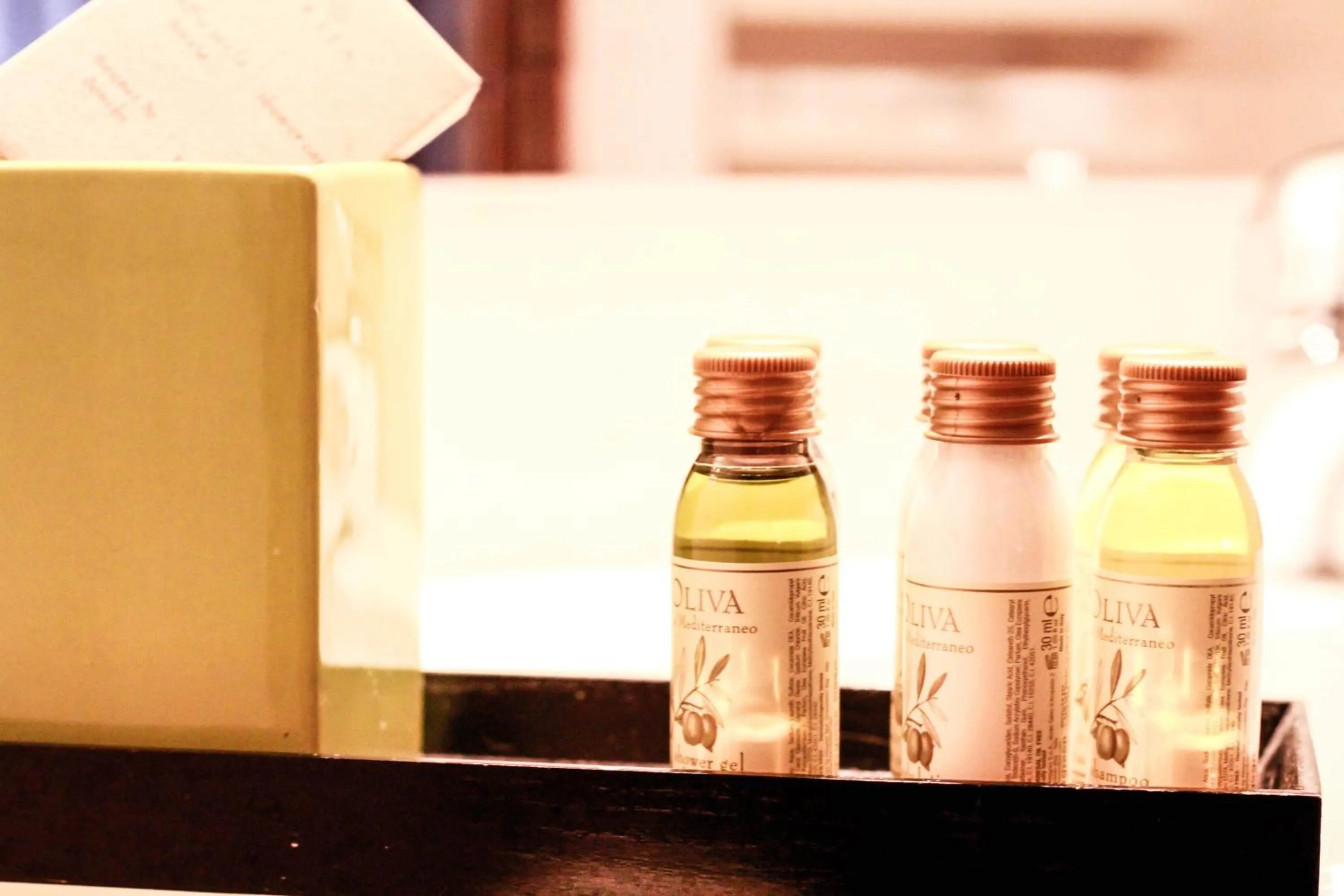 G. Hotel Des Alpes (Classic since 1912)