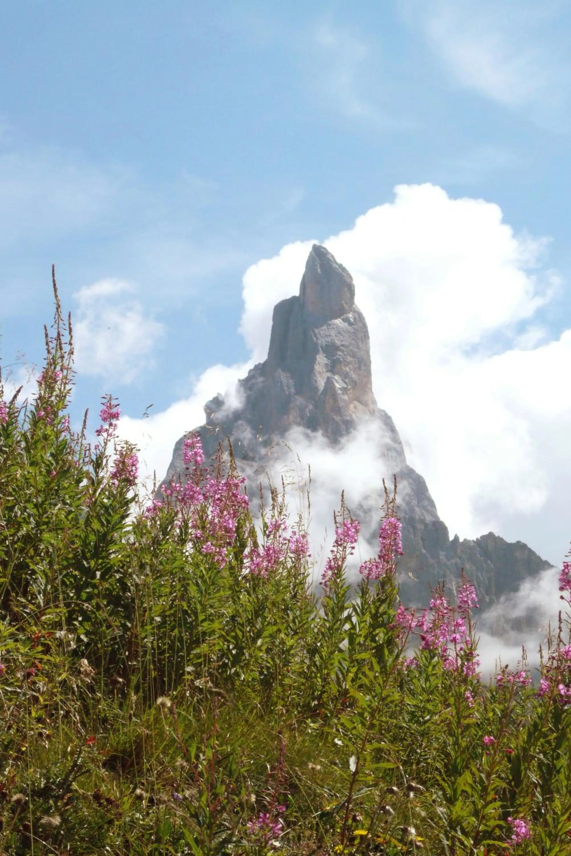 Area and facilities in G. Hotel Des Alpes (Classic since 1912)
