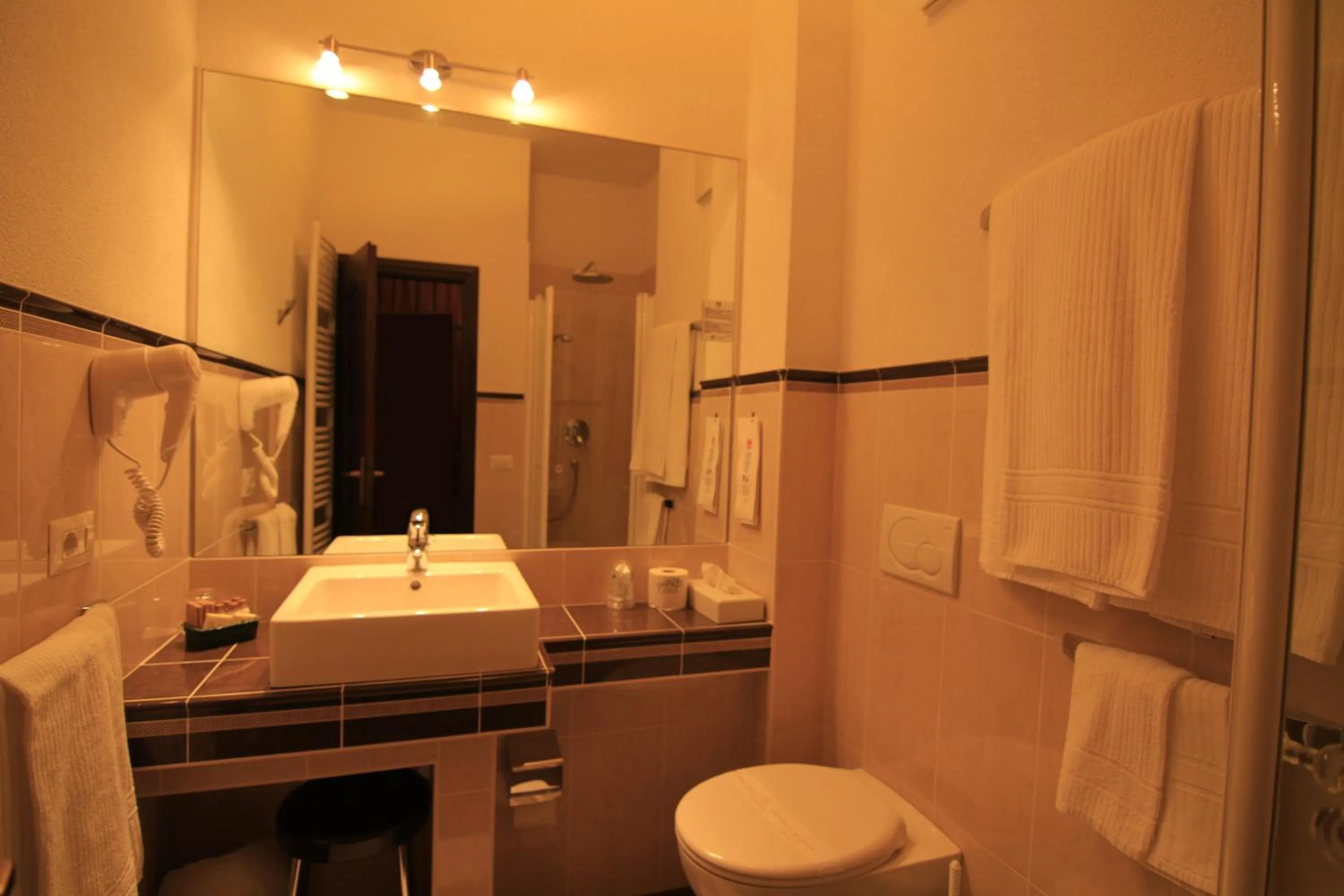 Bathroom in G. Hotel Des Alpes (Classic since 1912)