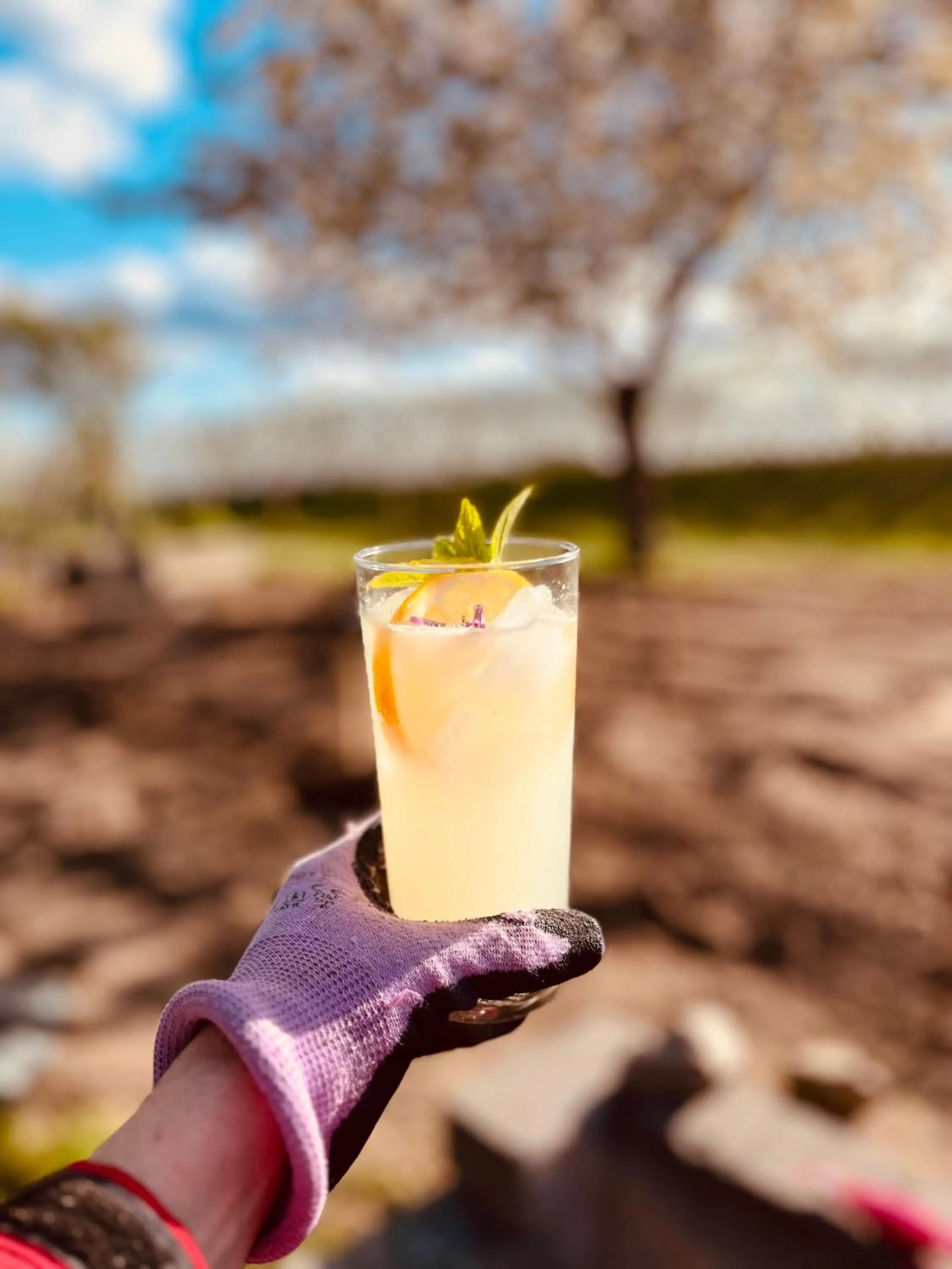 Balcony/Terrace in Sydkustens at Pillehill