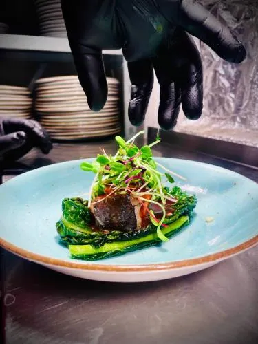 Sydkustens at Pillehill