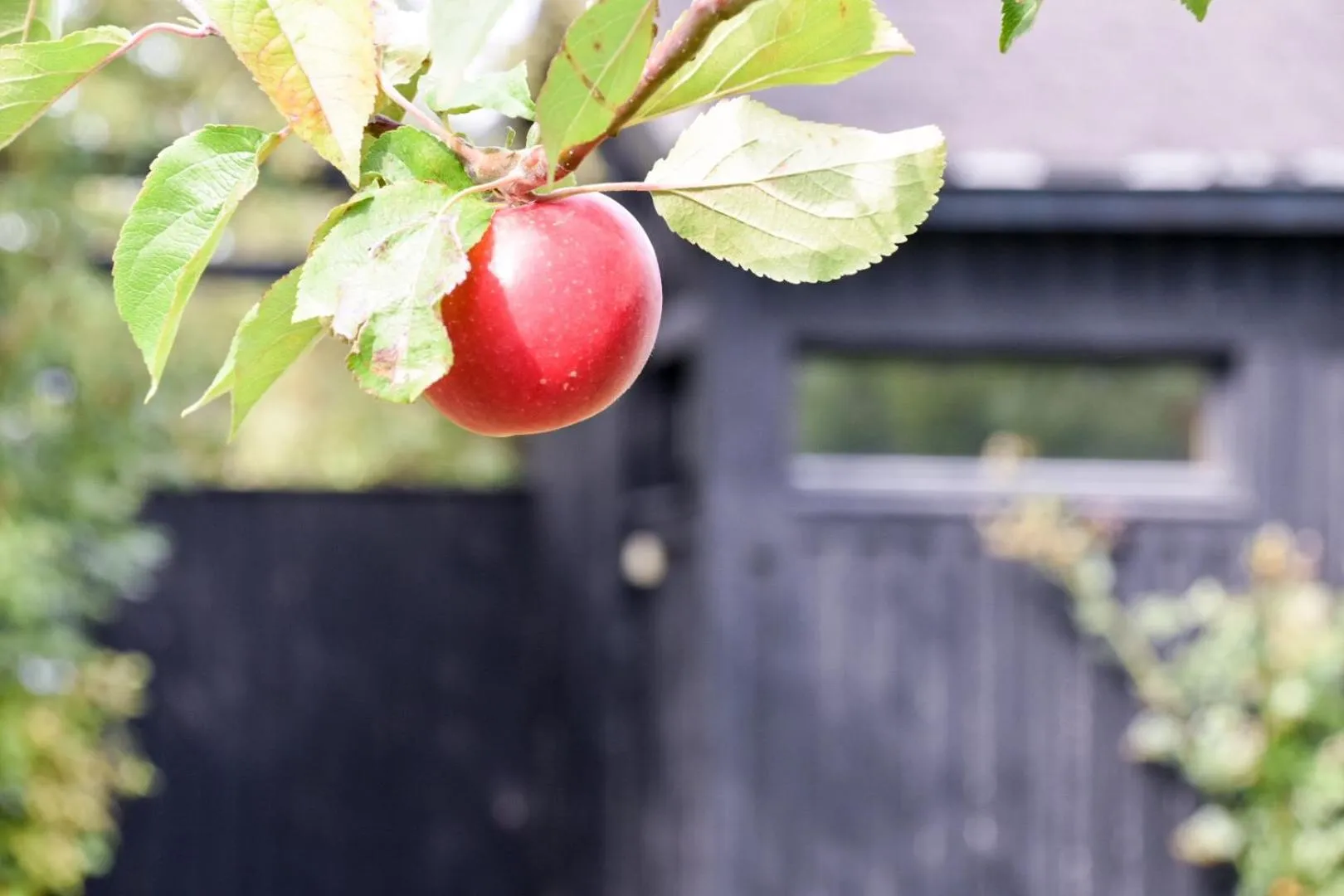 Patio in Sydkustens at Pillehill