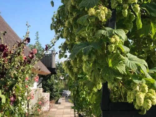Balcony/Terrace in Sydkustens at Pillehill