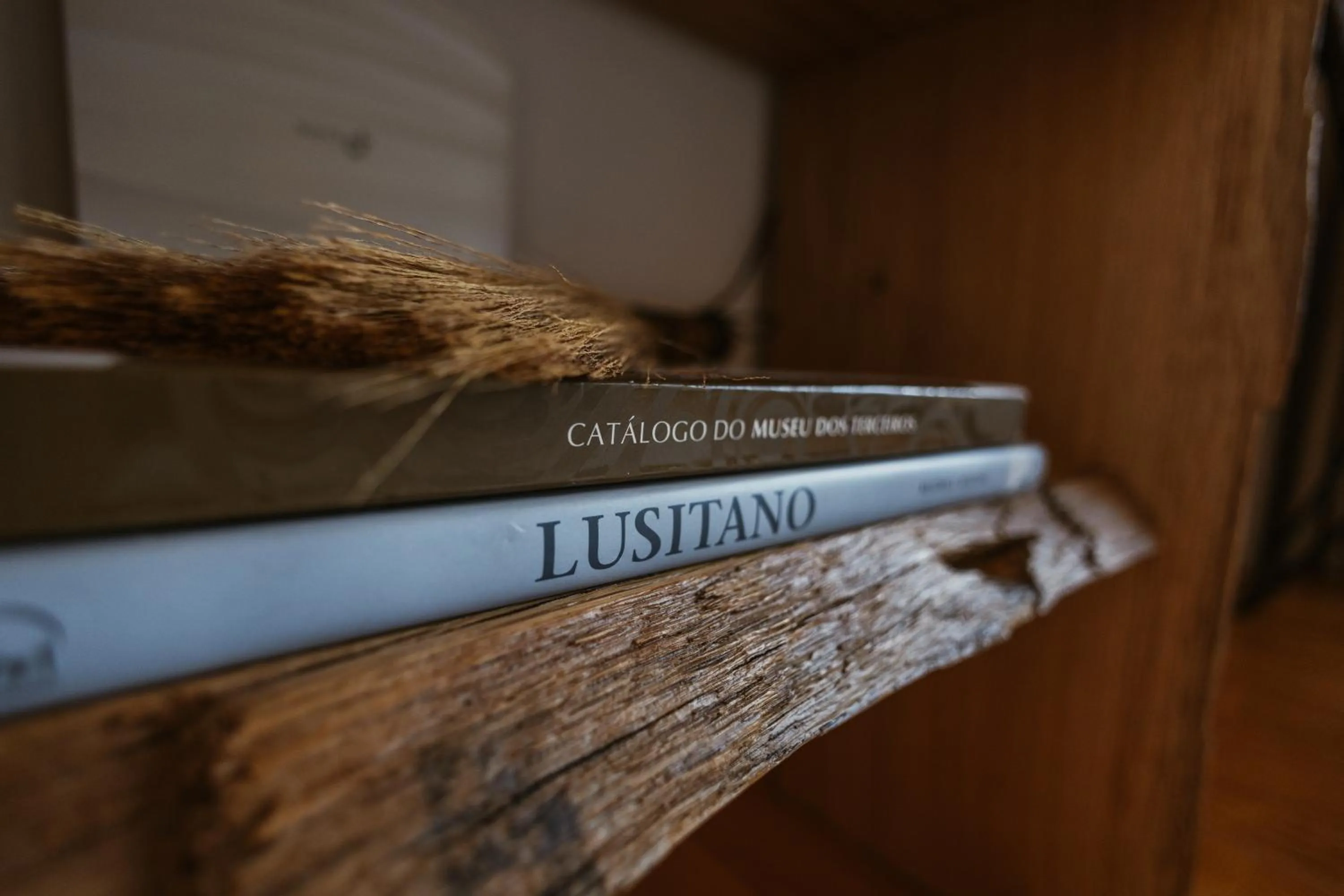 Decorative detail in Cerquido by NHôme