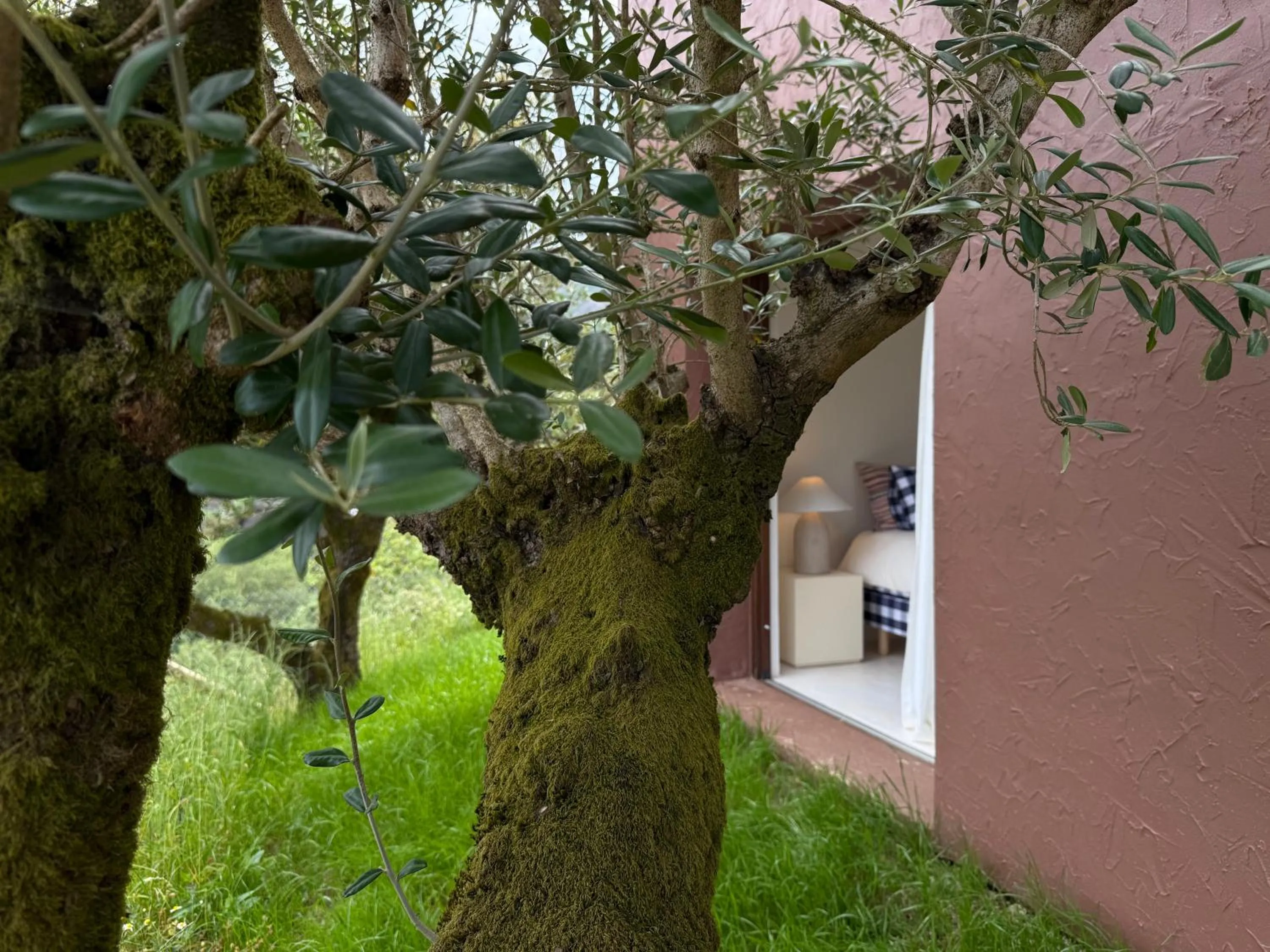 Garden in Cerquido by NHôme