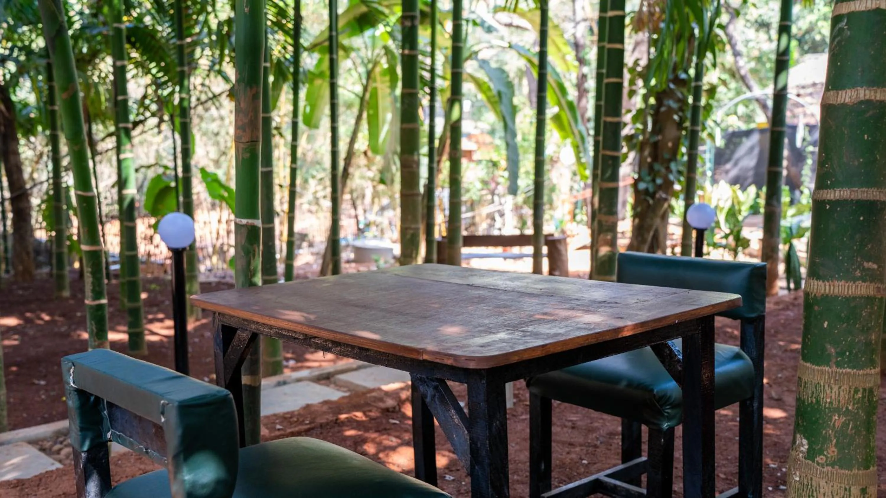 Restaurant/places to eat in The Inaka Goa