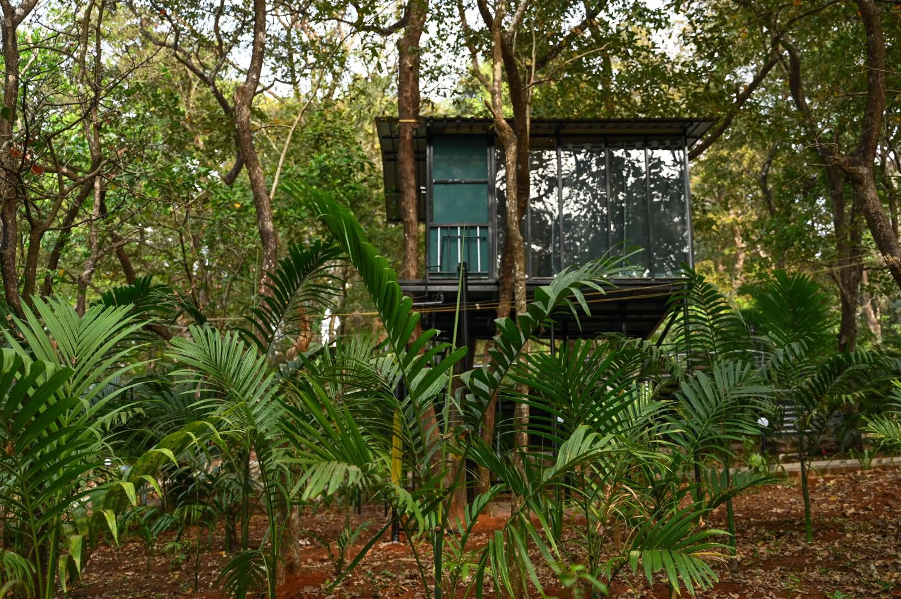 Property building in The Inaka Goa