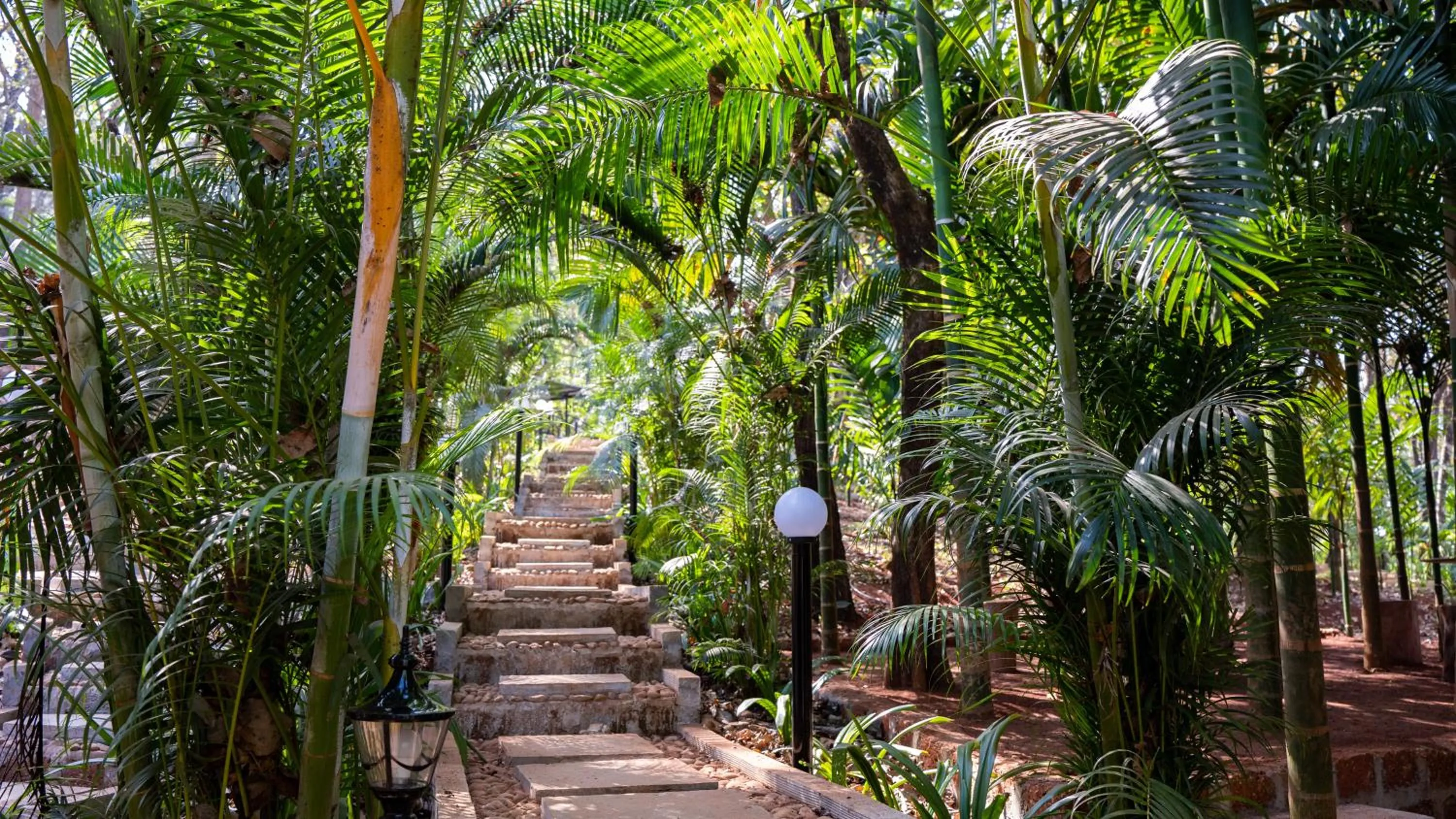 View (from property/room) in The Inaka Goa