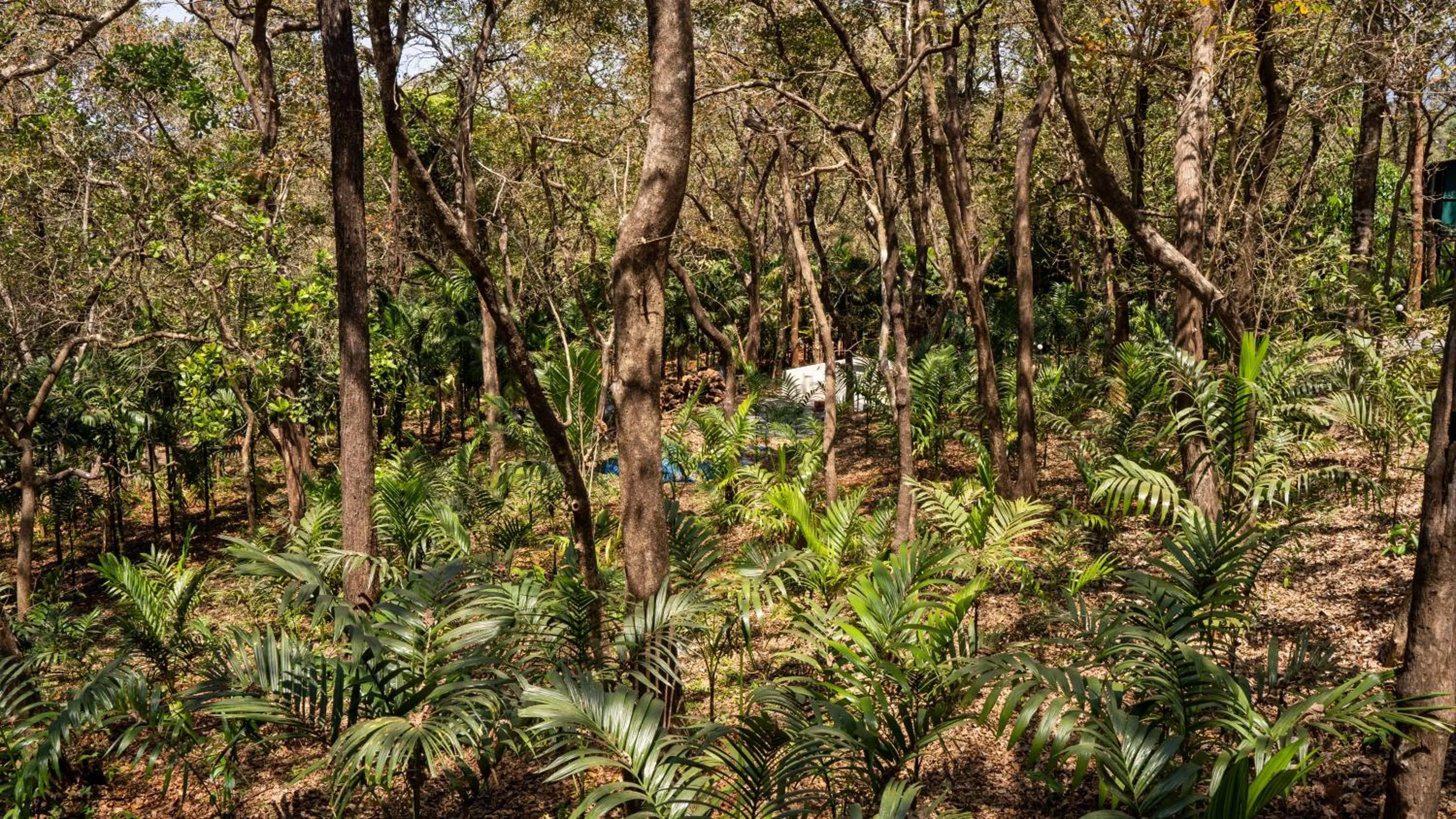 Natural landscape in The Inaka Goa
