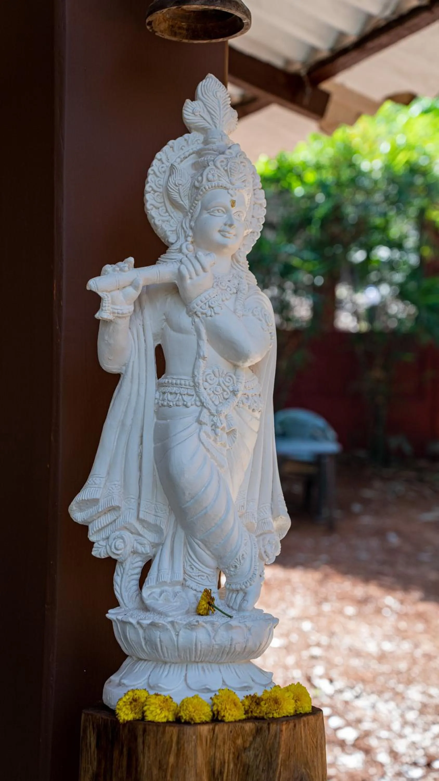 View (from property/room) in The Inaka Goa