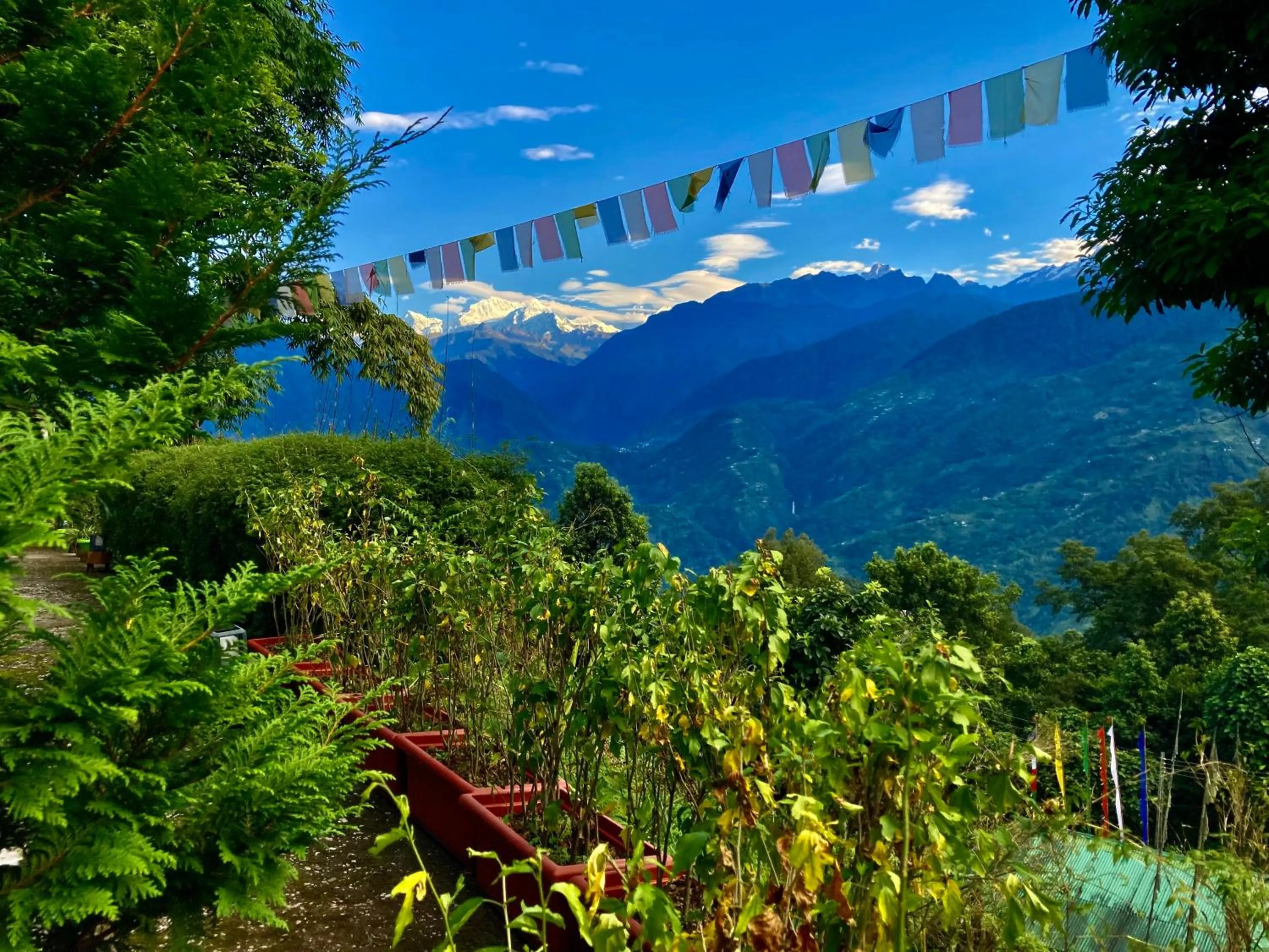 MayaTels - Maya Eco Huts, Pelling