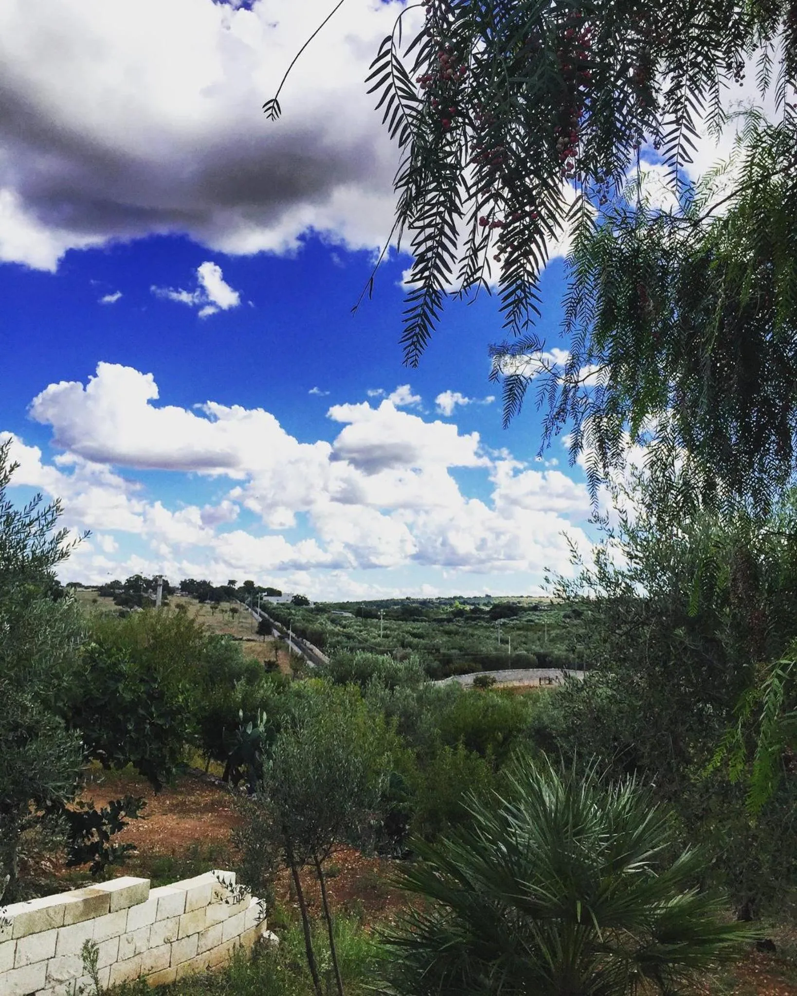 Natural landscape in Villa Giulia B&B