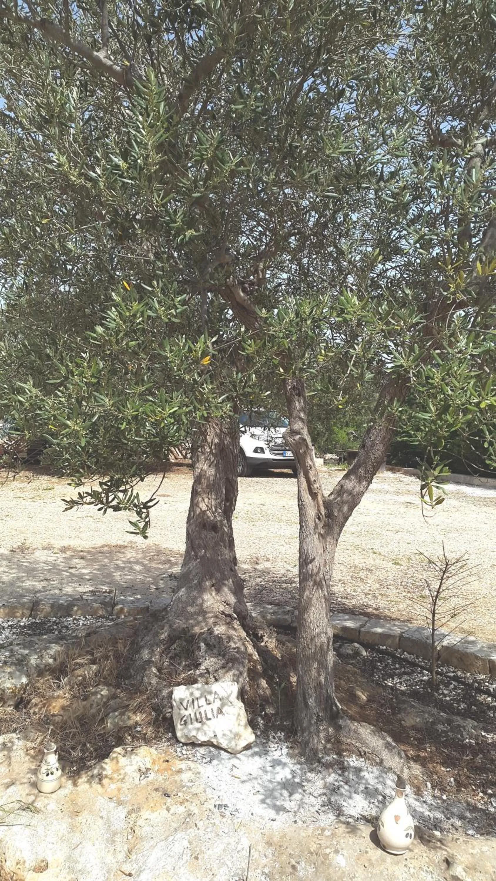 Natural landscape in Villa Giulia B&B