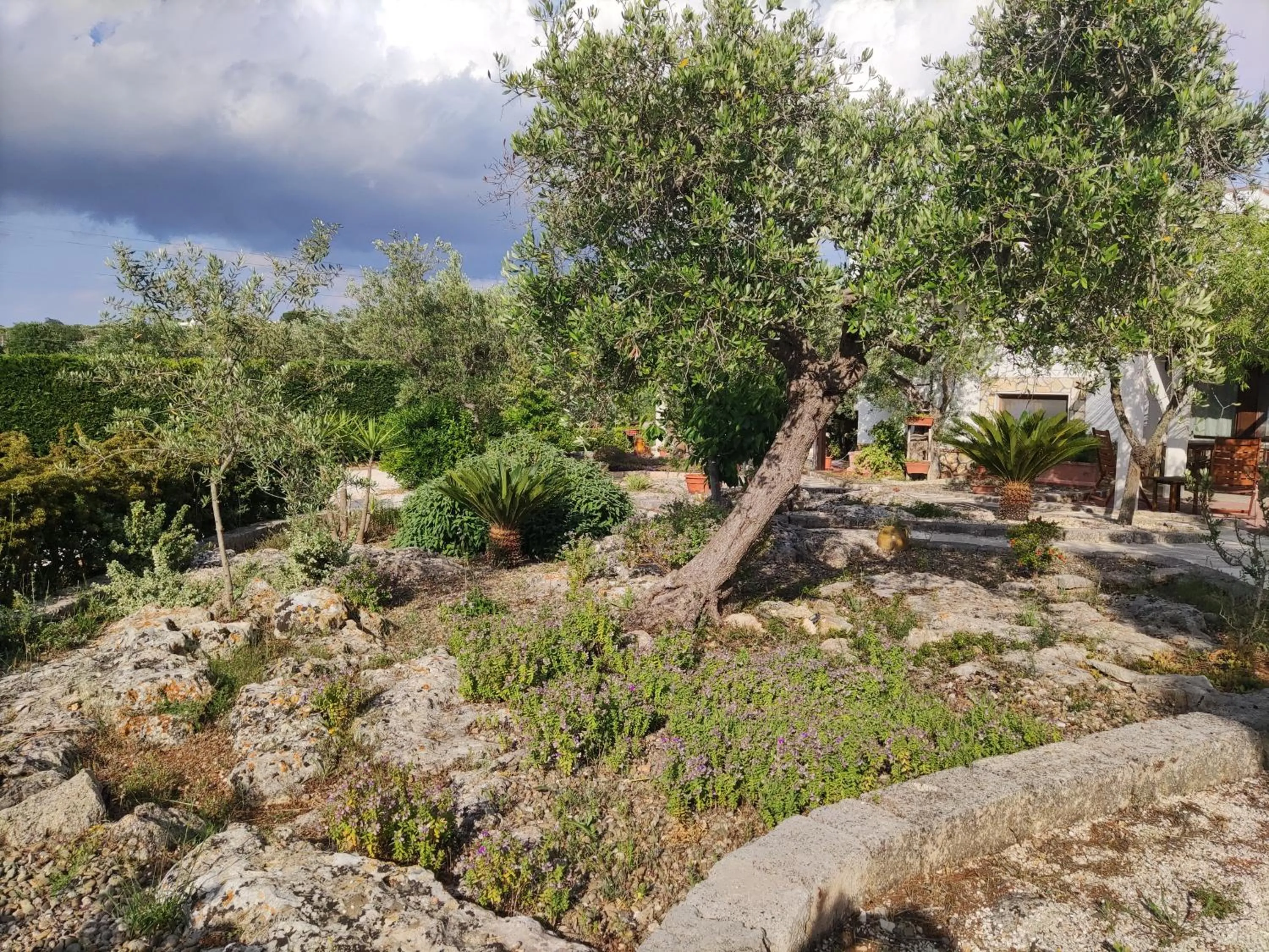 Garden in Villa Giulia B&B