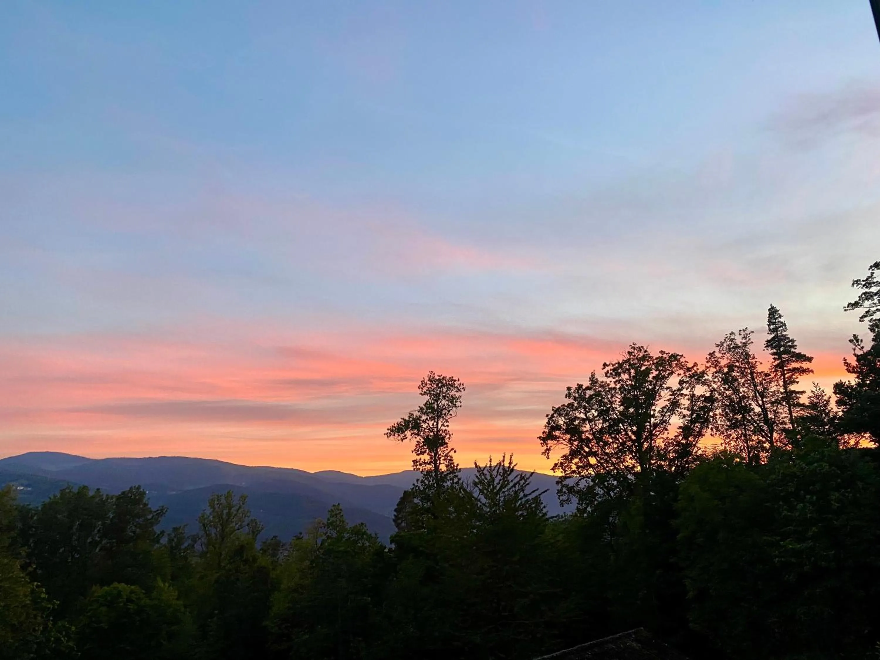 Natural landscape in Domaine de Haslach, The Originals Collection, Résidence de Tourisme