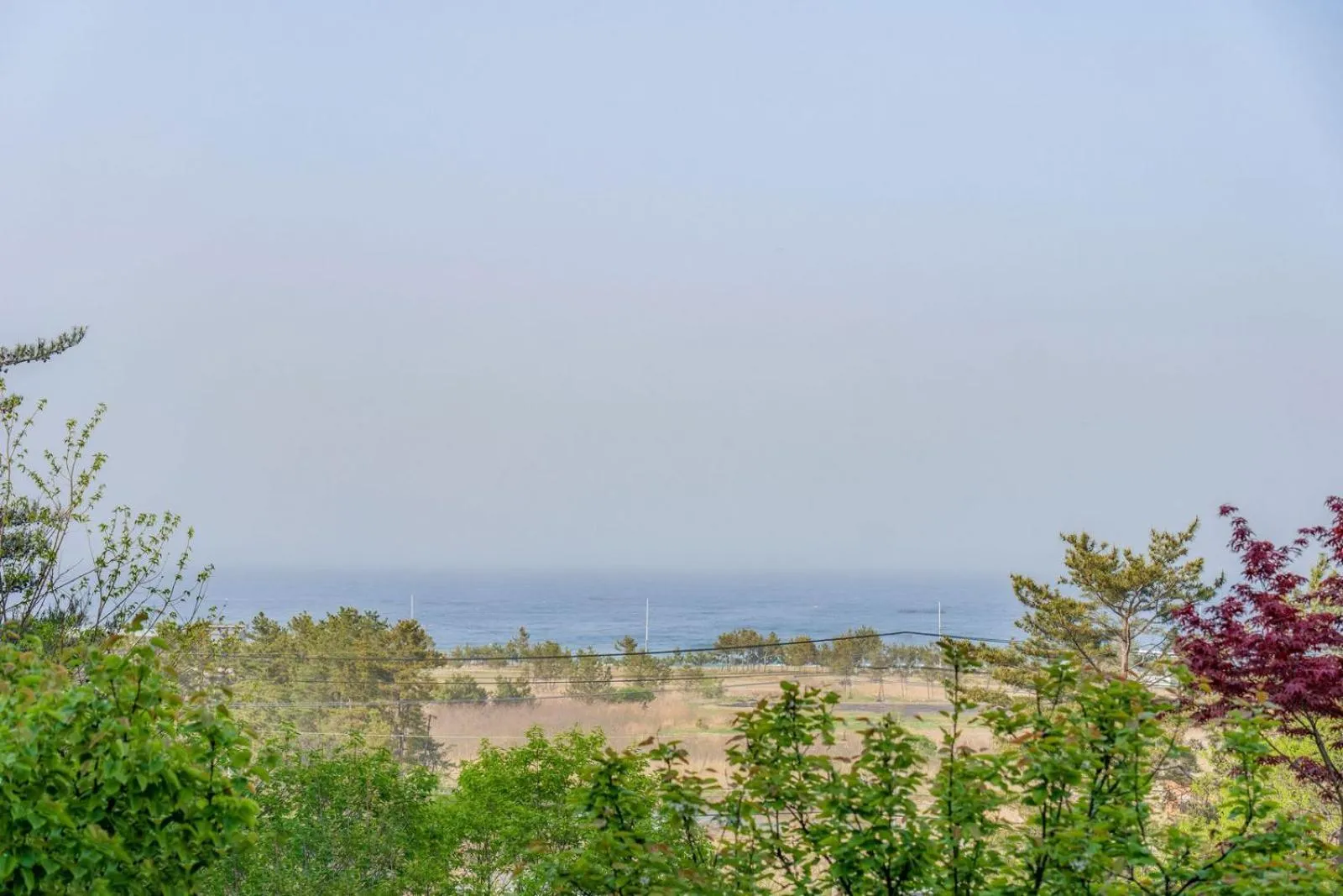 Sea view in Zio Pinetree
