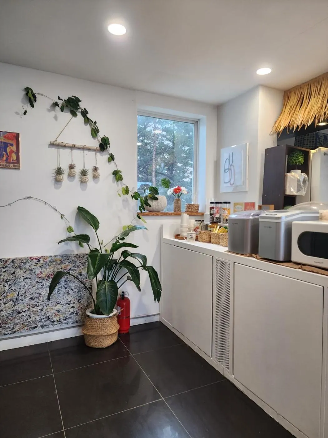 Area and facilities in Zio Pinetree