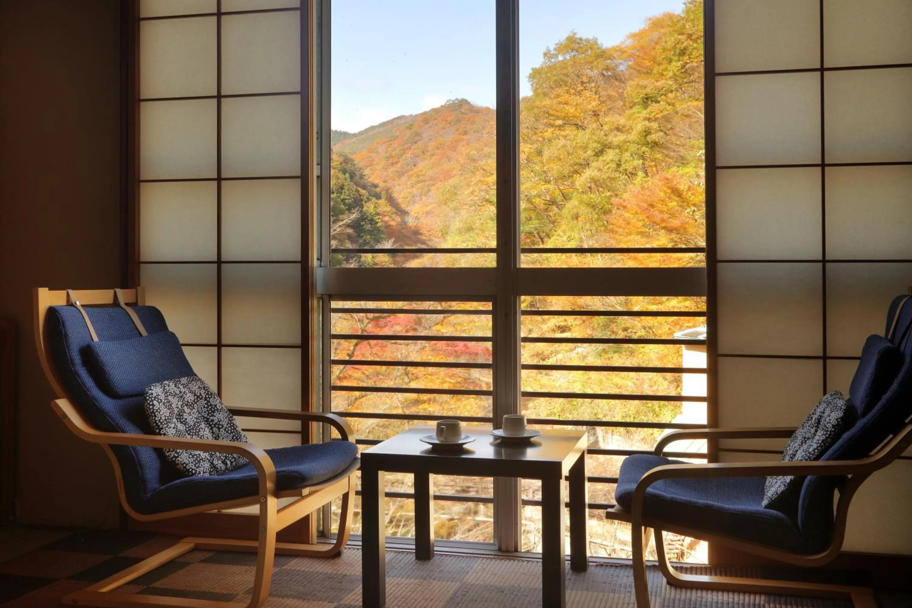 View (from property/room) in Yamayuri no Yado