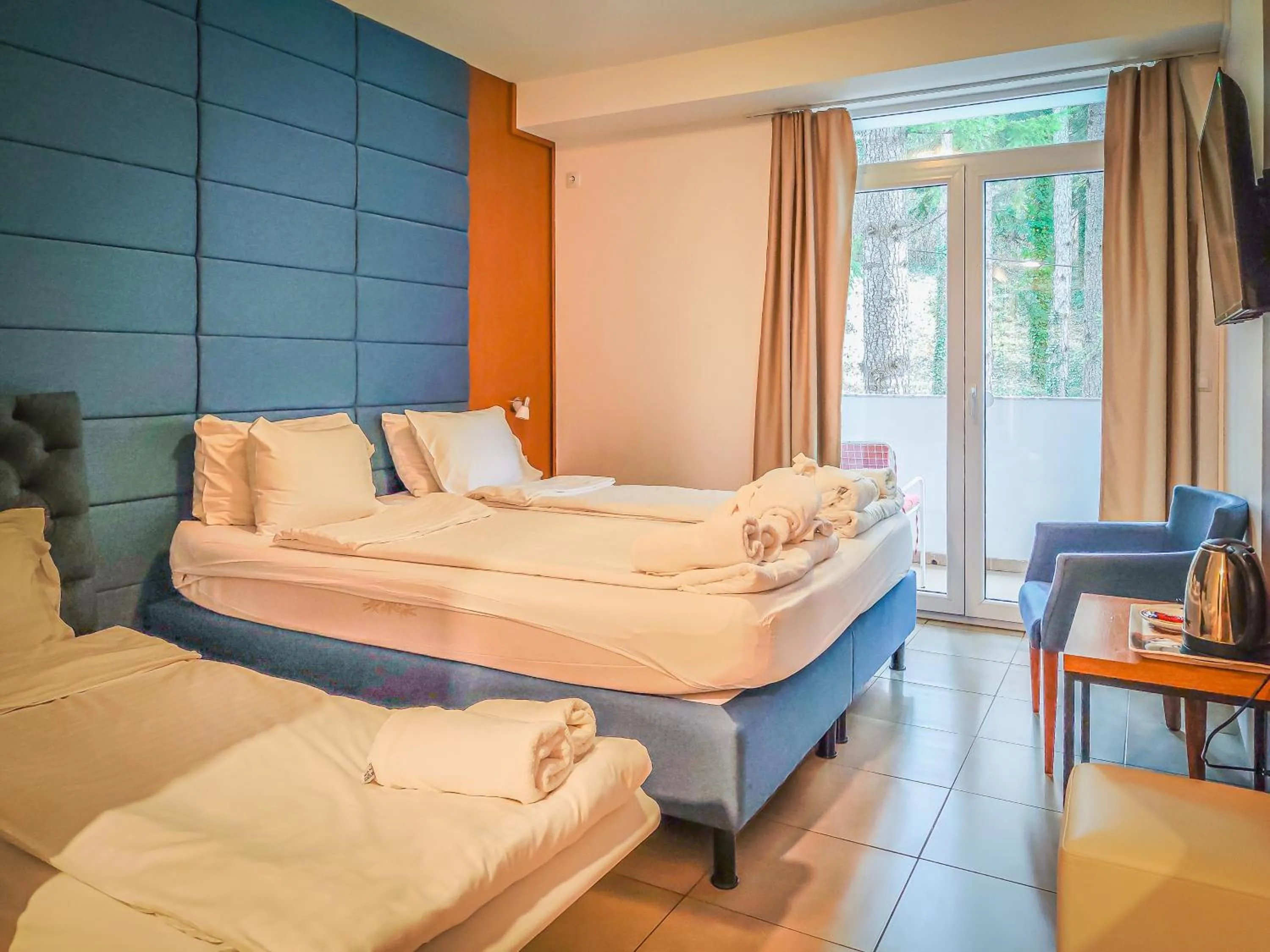 Double or Twin Room with Extra Bed and and Forest View in Hotel & Spa Tino Sveti Stefan