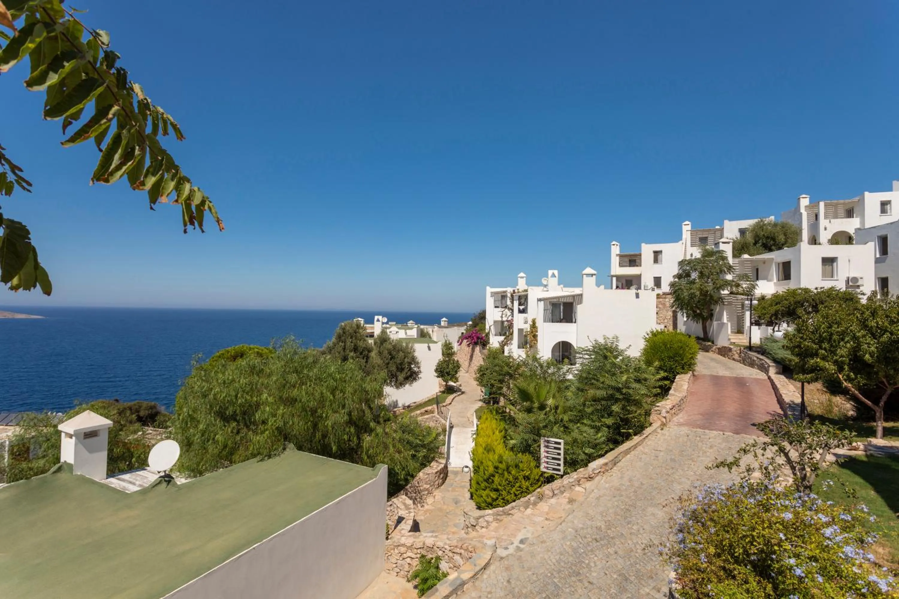 Garden in Vega Aparts