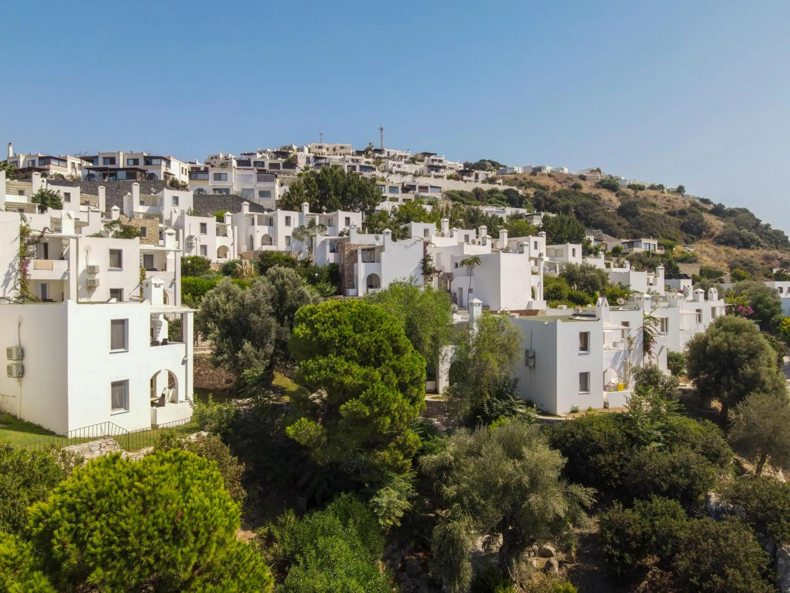 Bird's eye view in Vega Aparts