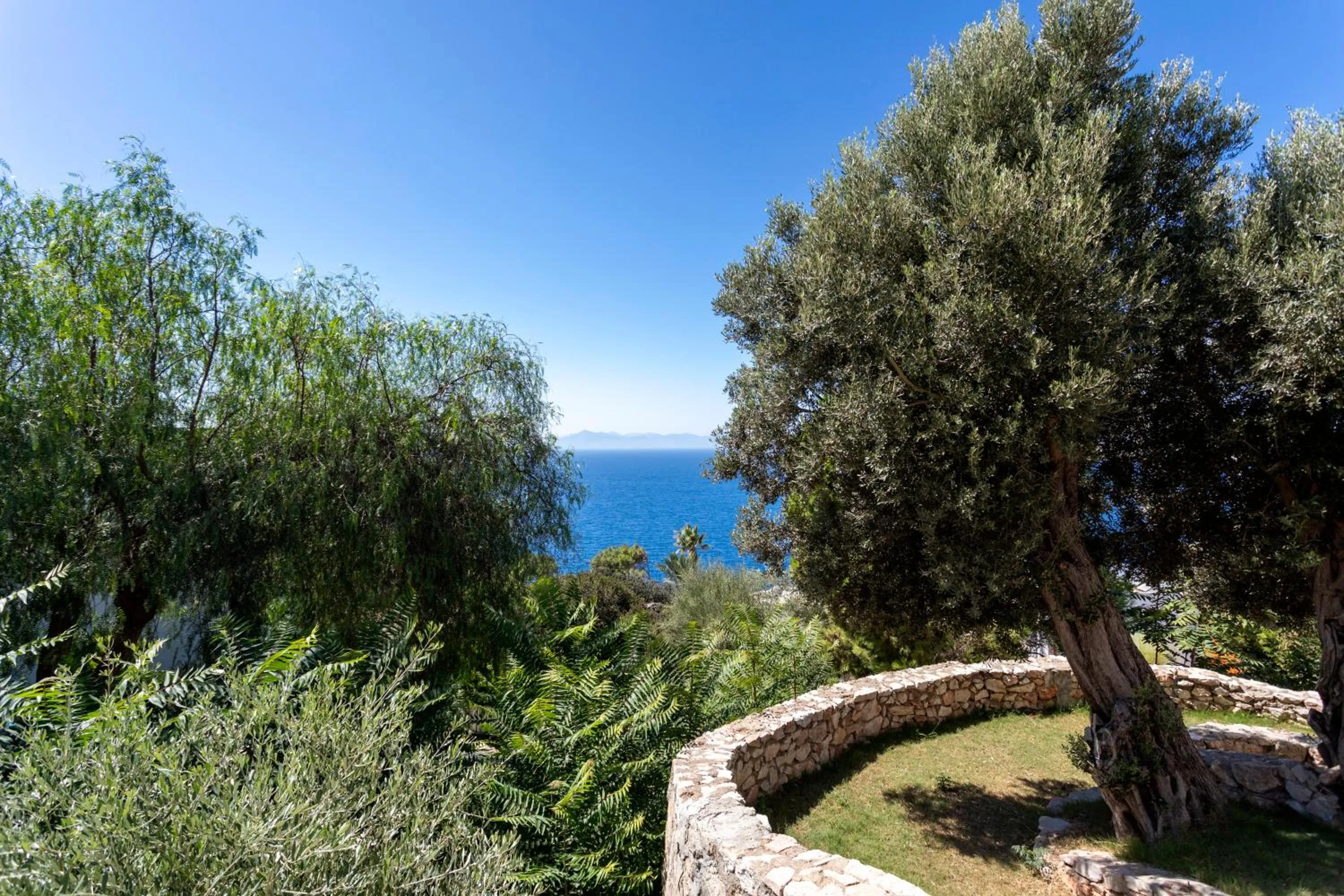 Garden view in Vega Aparts