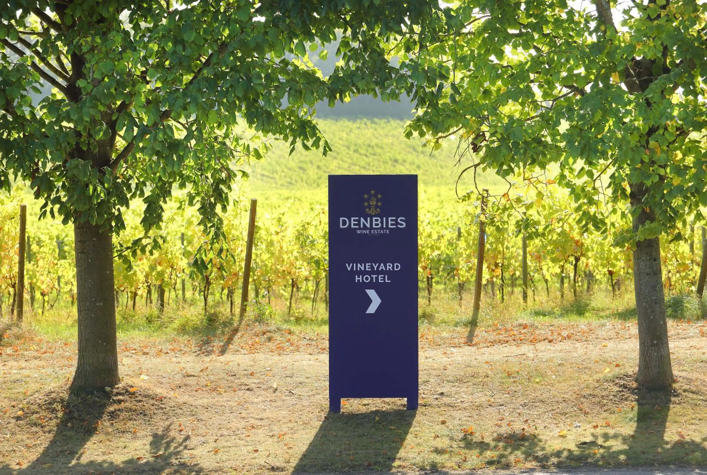 View (from property/room) in Denbies Vineyard Hotel