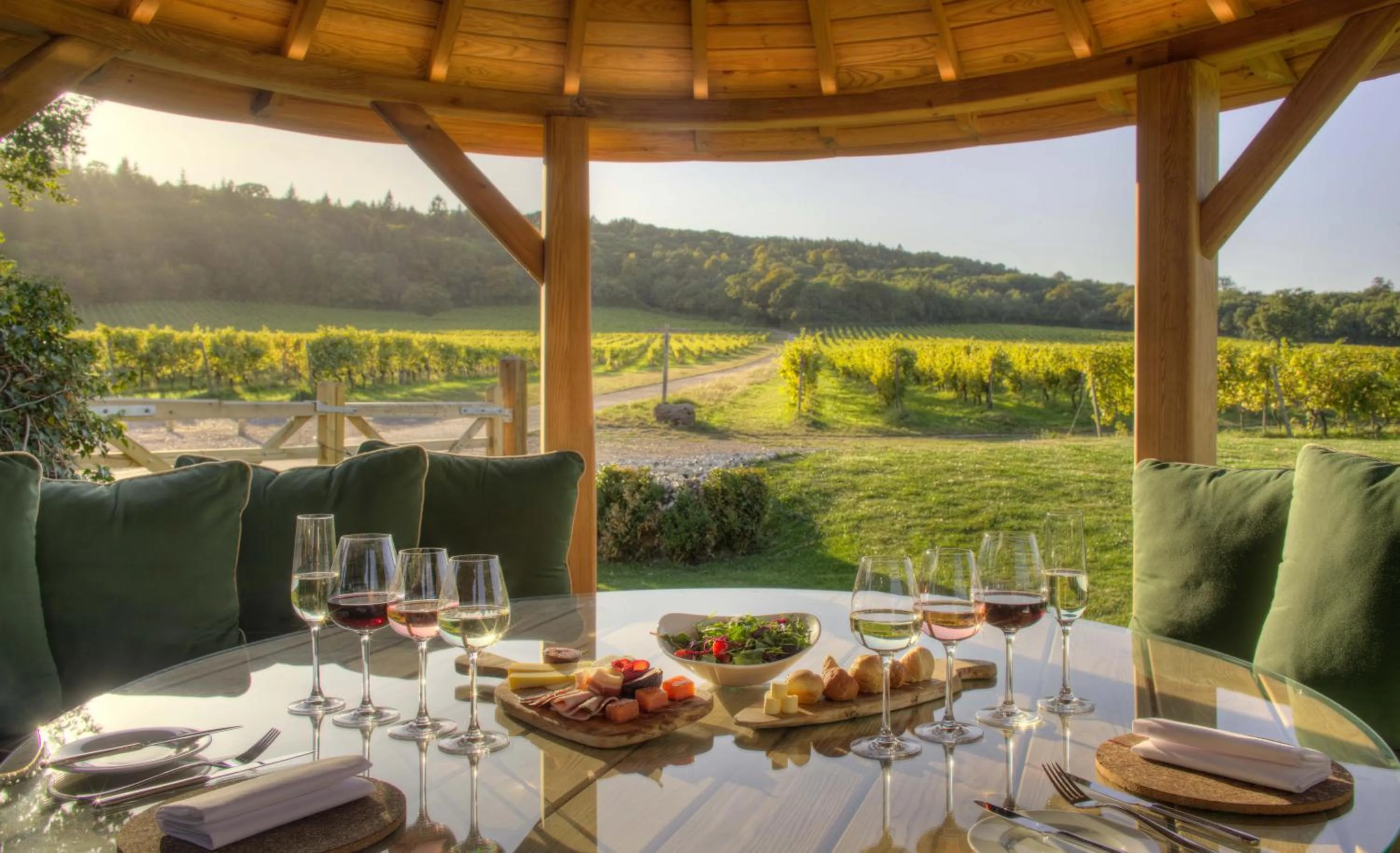 Balcony/Terrace in Denbies Vineyard Hotel